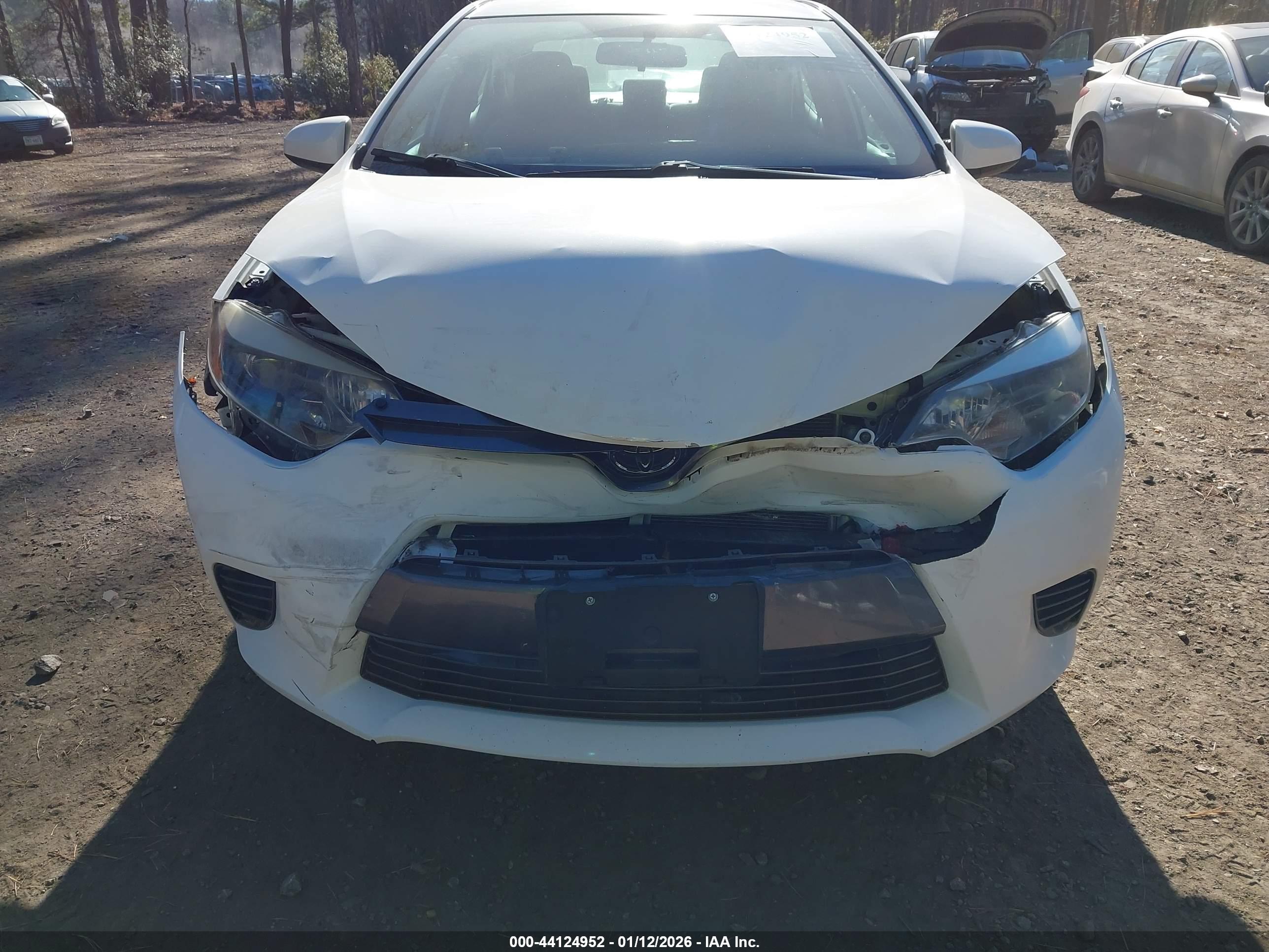 TOYOTA COROLLA image 6