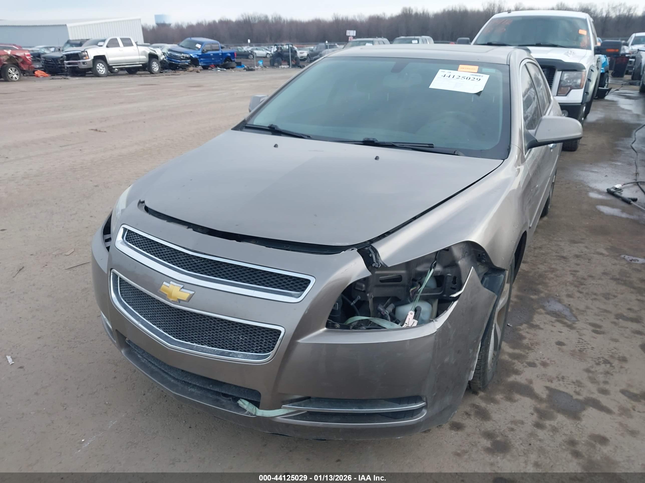 CHEVROLET MALIBU image 6