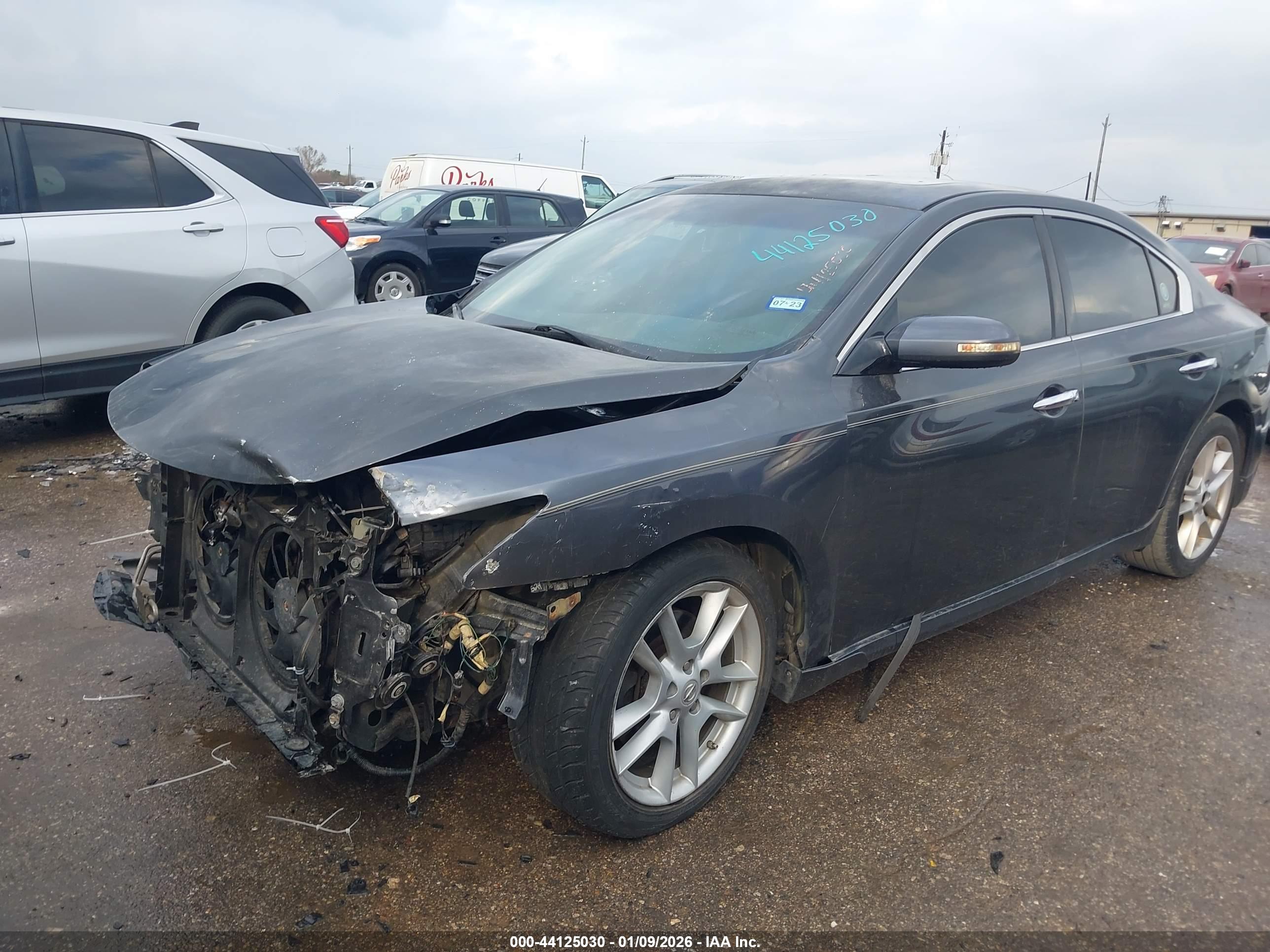 NISSAN MAXIMA image 2