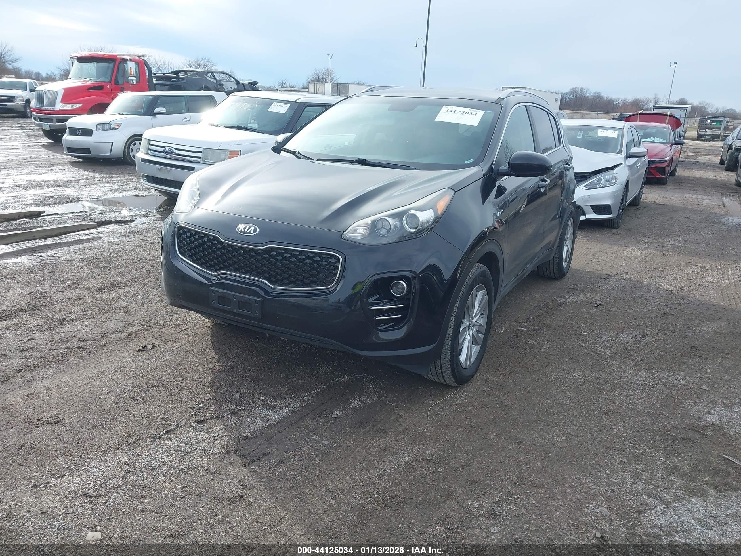 KIA SPORTAGE image 2