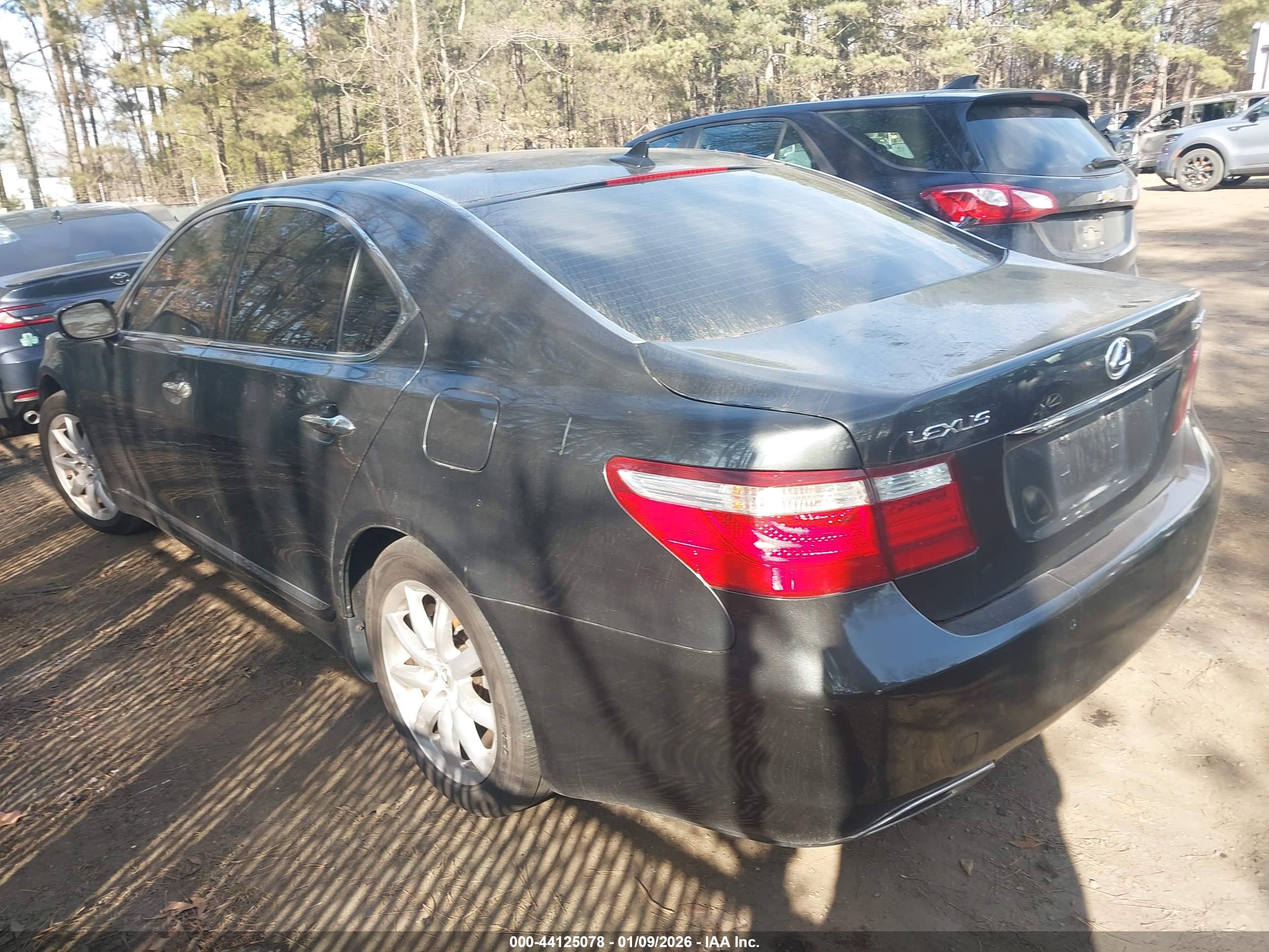 LEXUS LS image 3
