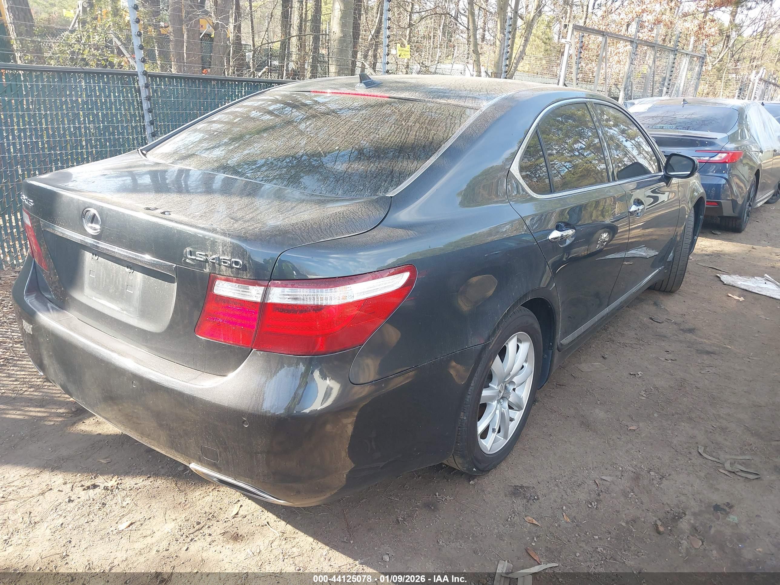 LEXUS LS image 4