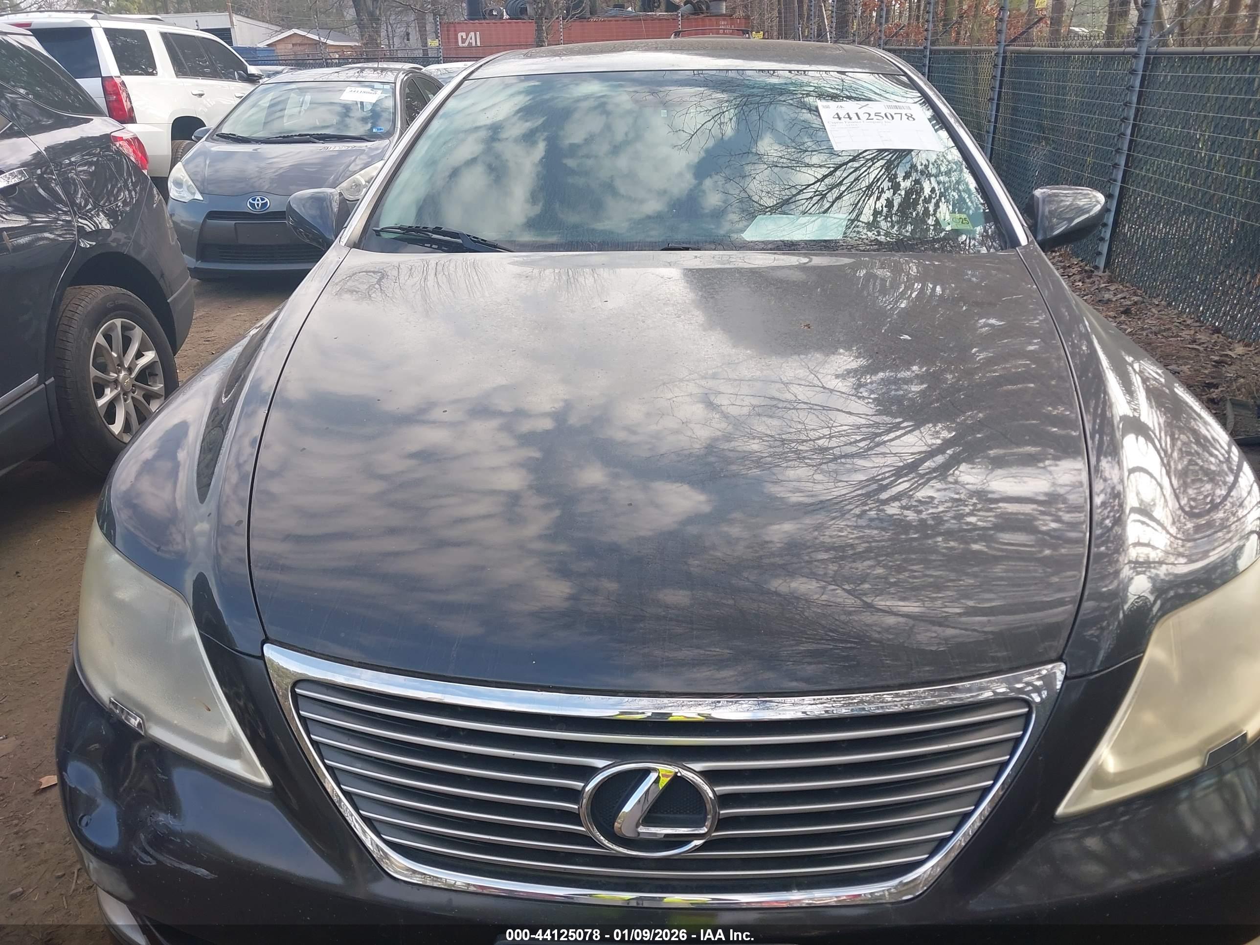 LEXUS LS image 6