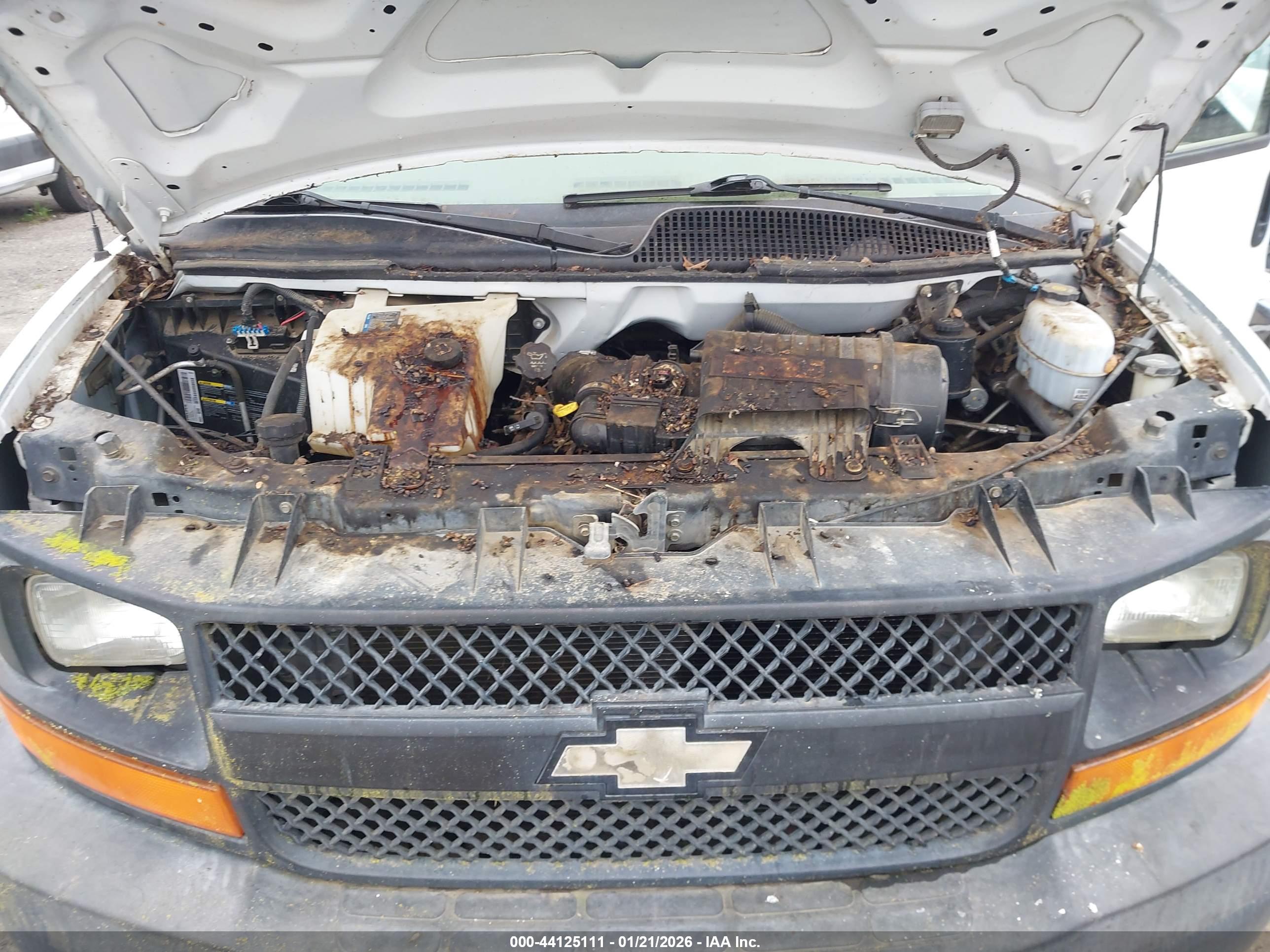 CHEVROLET EXPRESS image 10