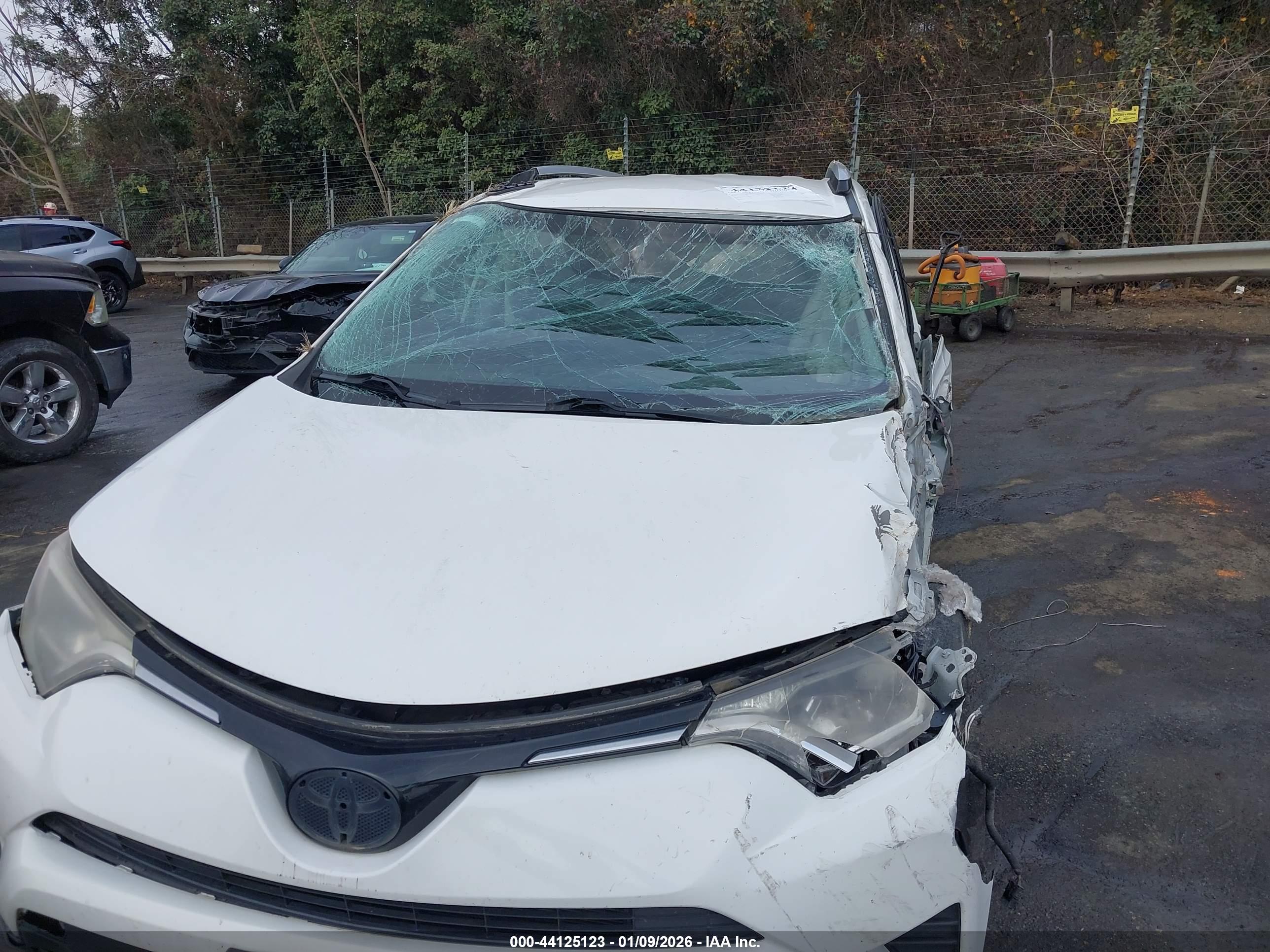 TOYOTA RAV4 image 6
