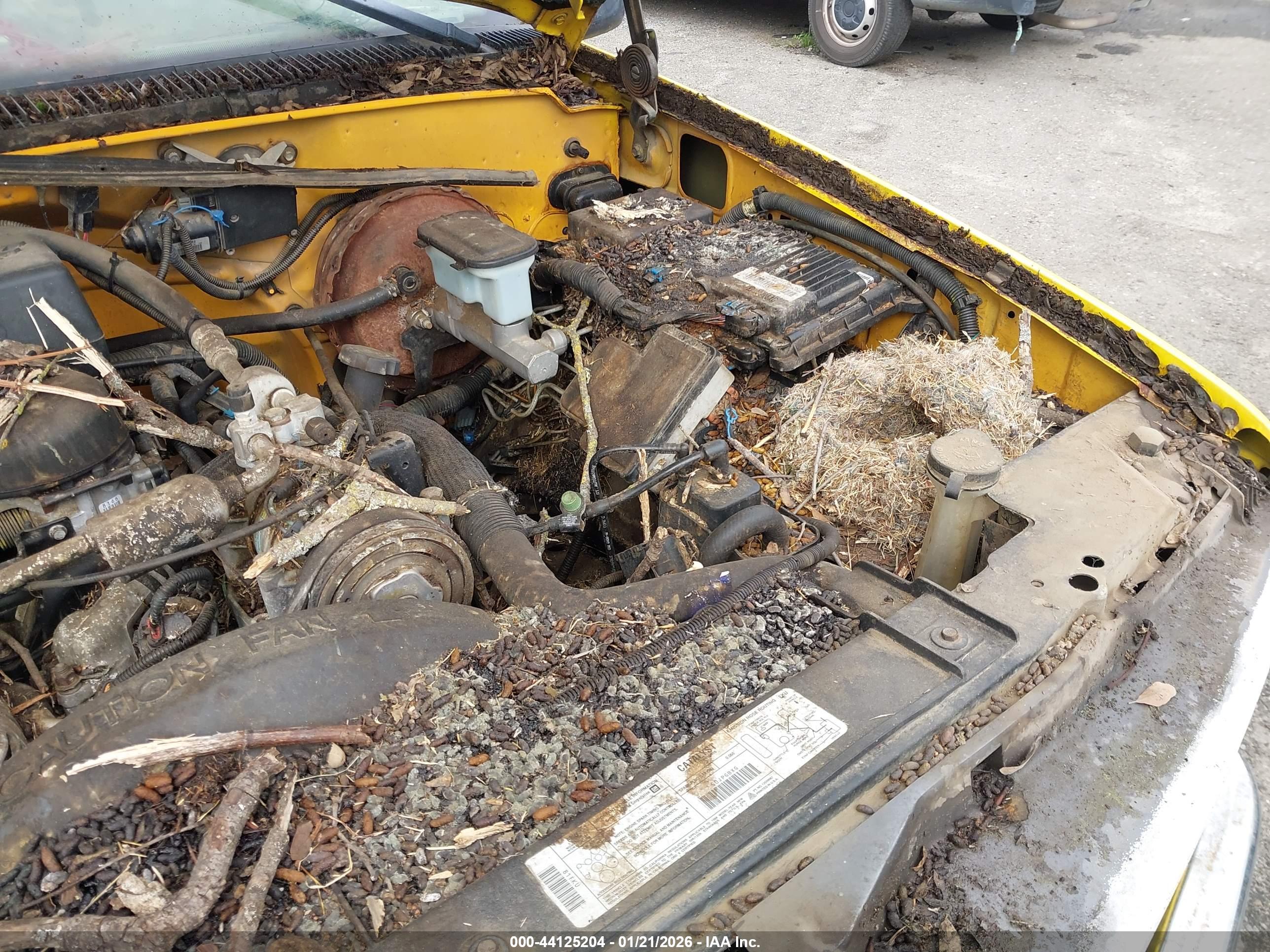 CHEVROLET C2500 image 6
