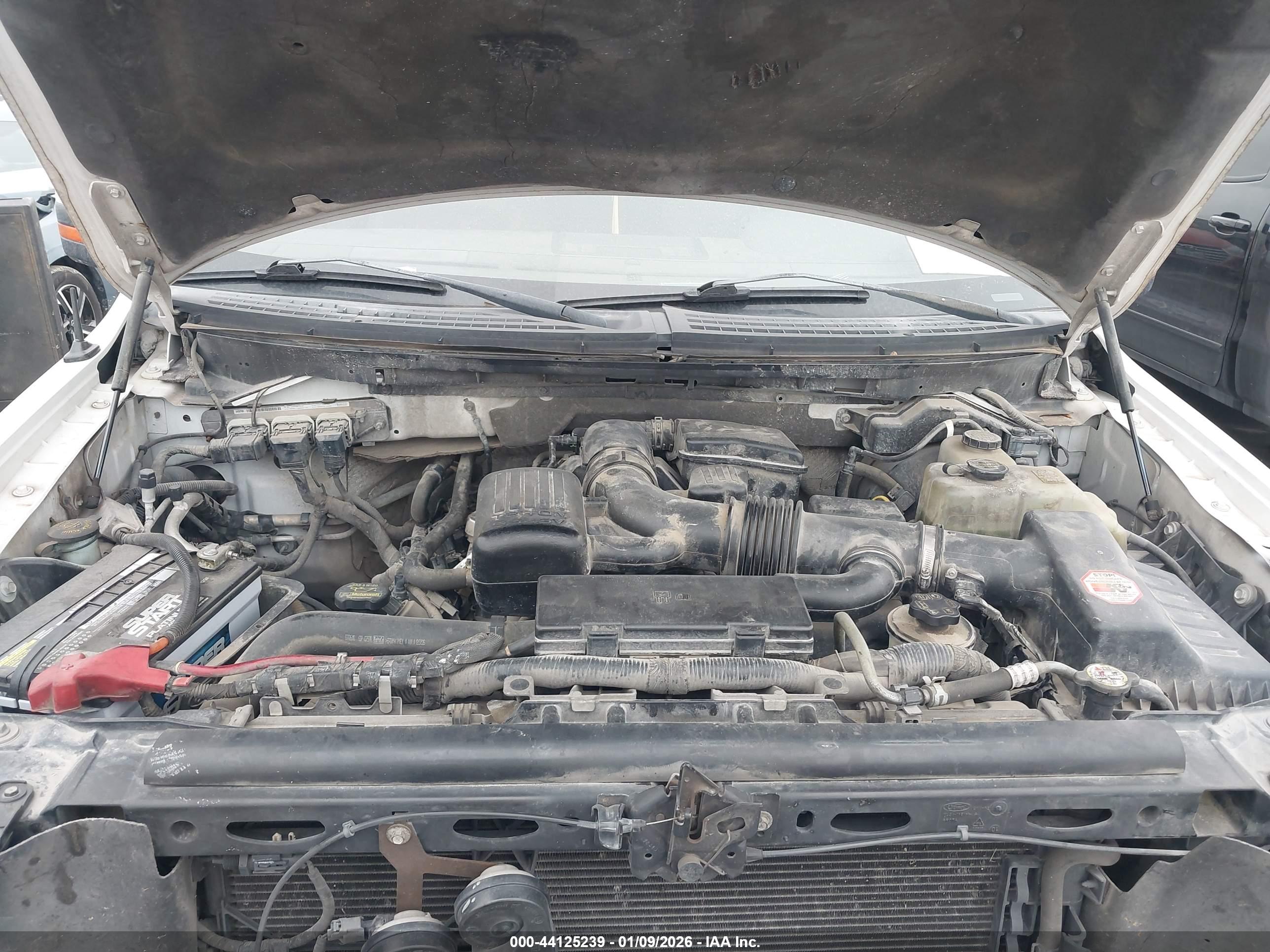 FORD F-150 image 10