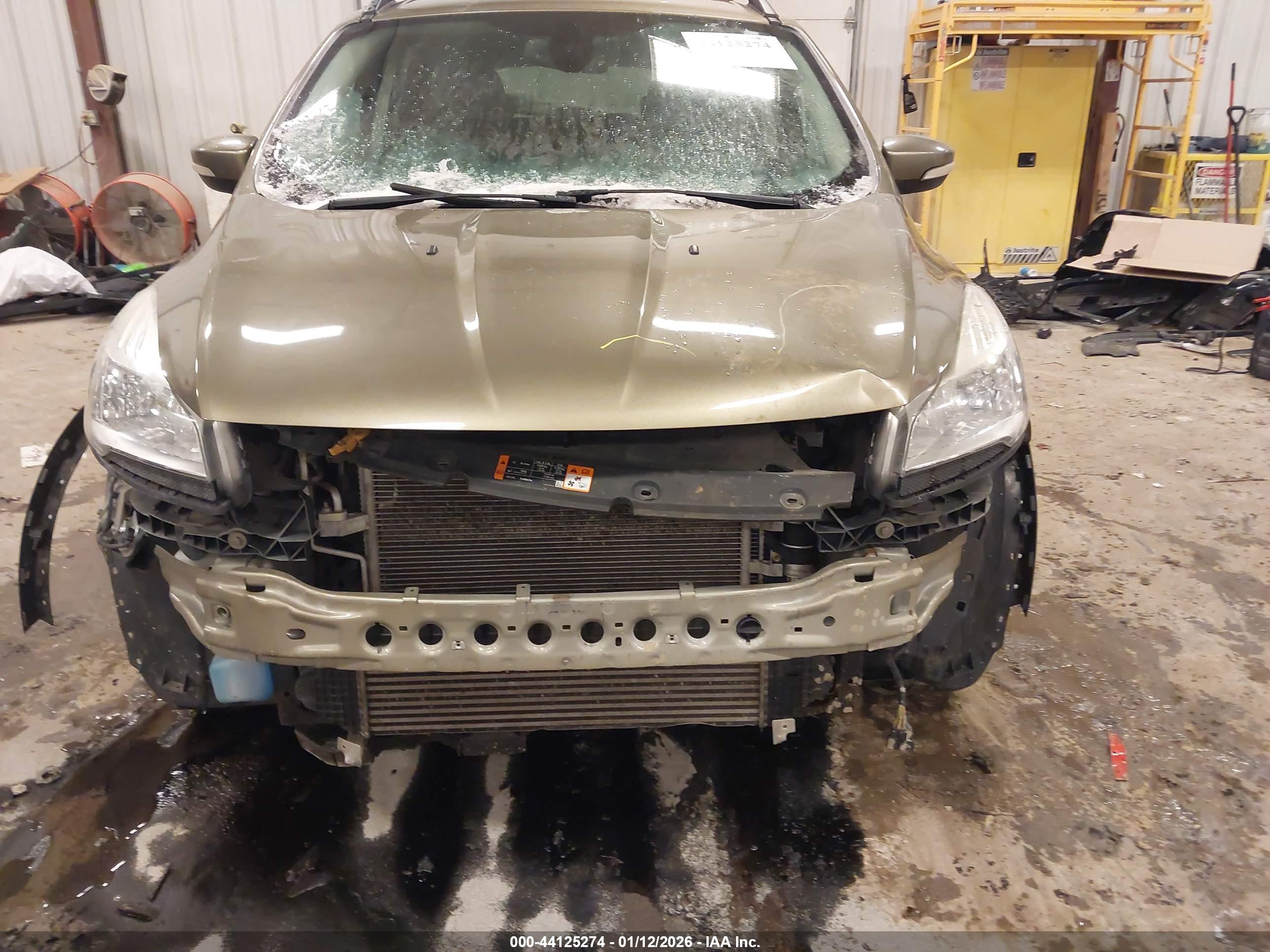 FORD ESCAPE image 6