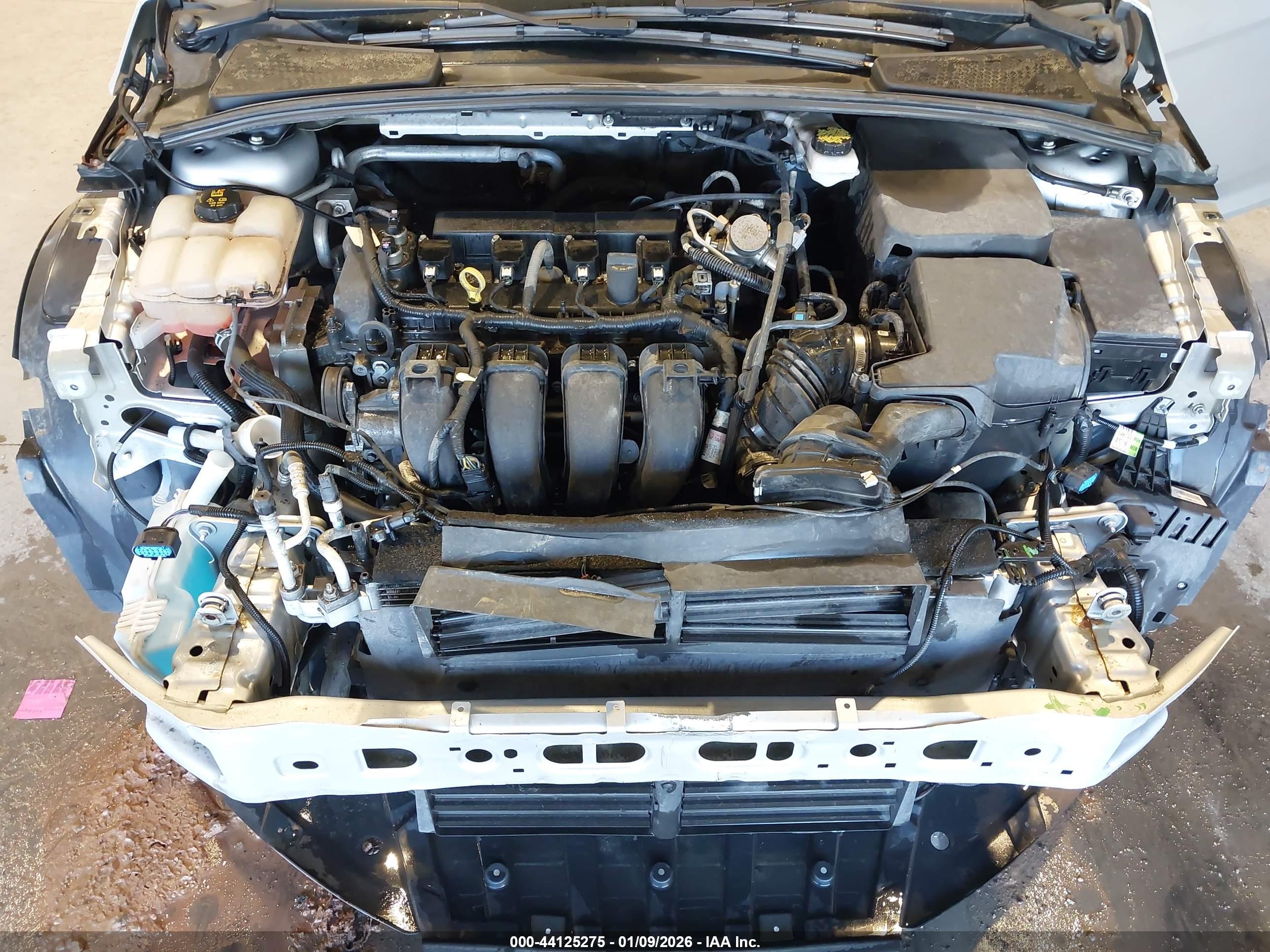 FORD FOCUS image 10