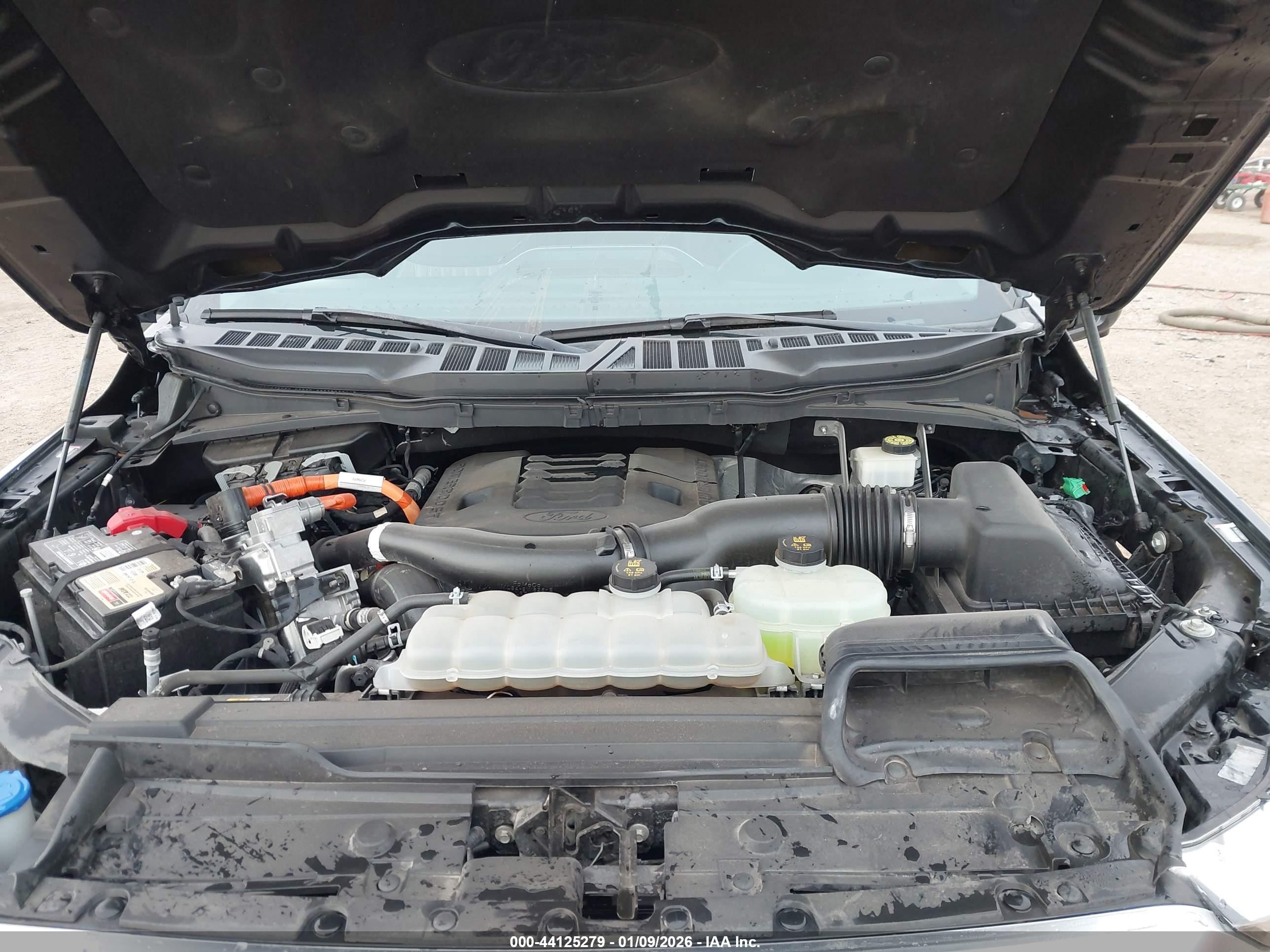 FORD F-150 image 10