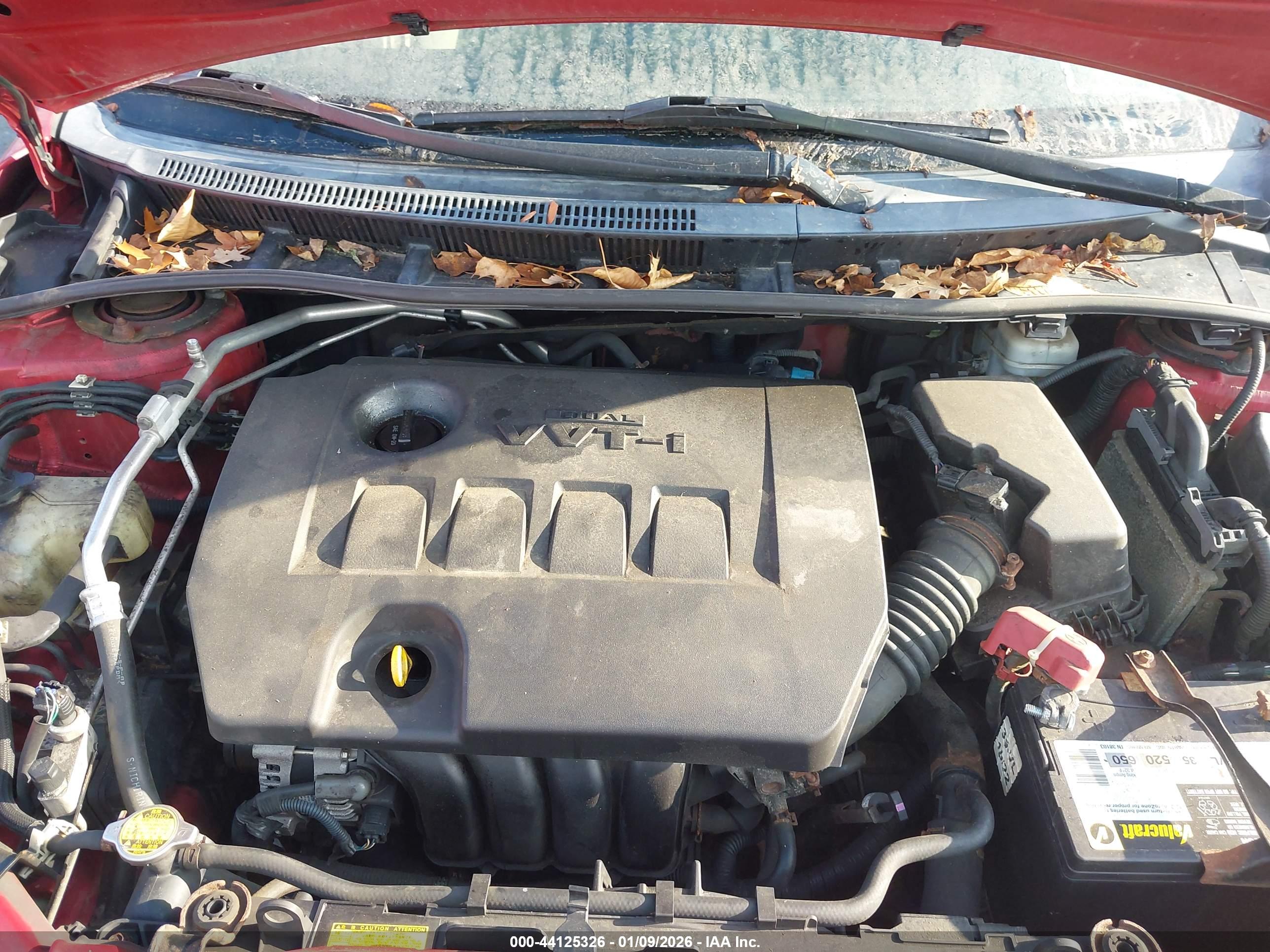 TOYOTA COROLLA image 10
