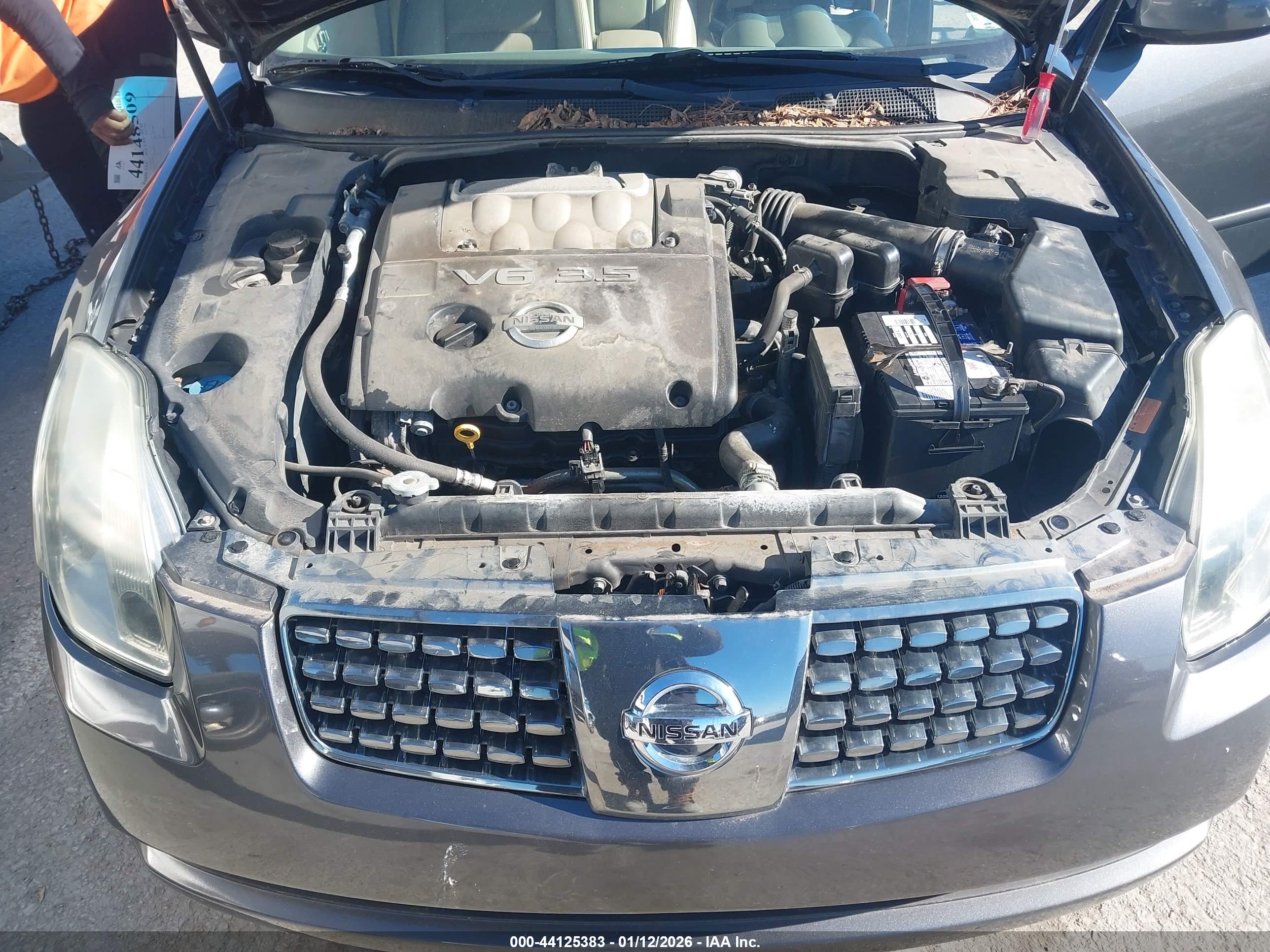 NISSAN MAXIMA image 10