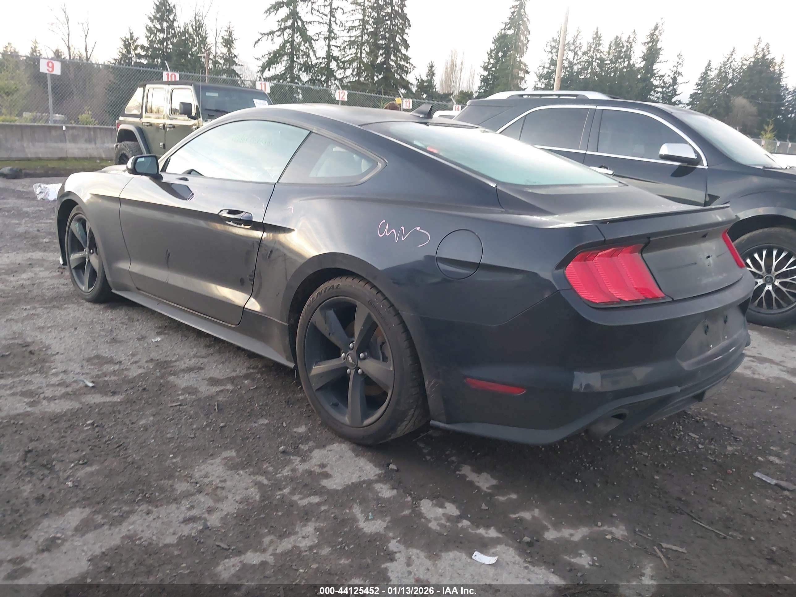 FORD MUSTANG image 3