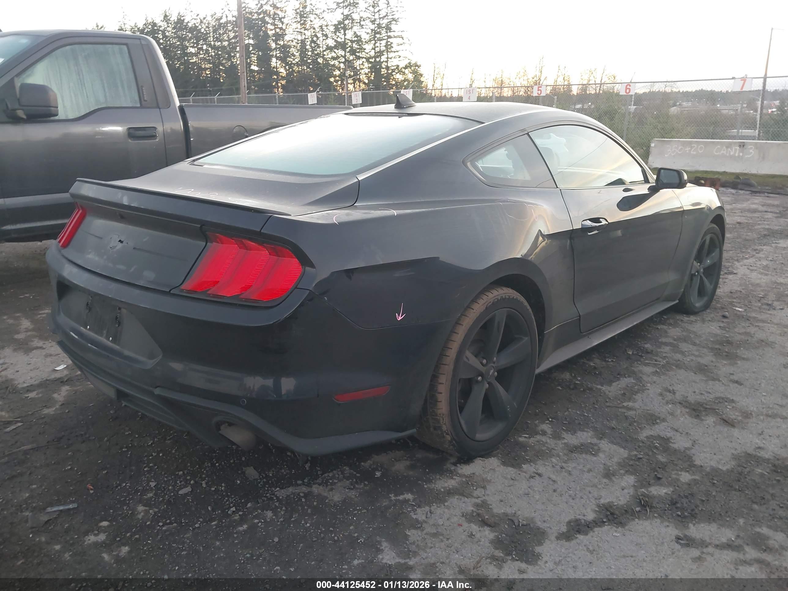 FORD MUSTANG image 4