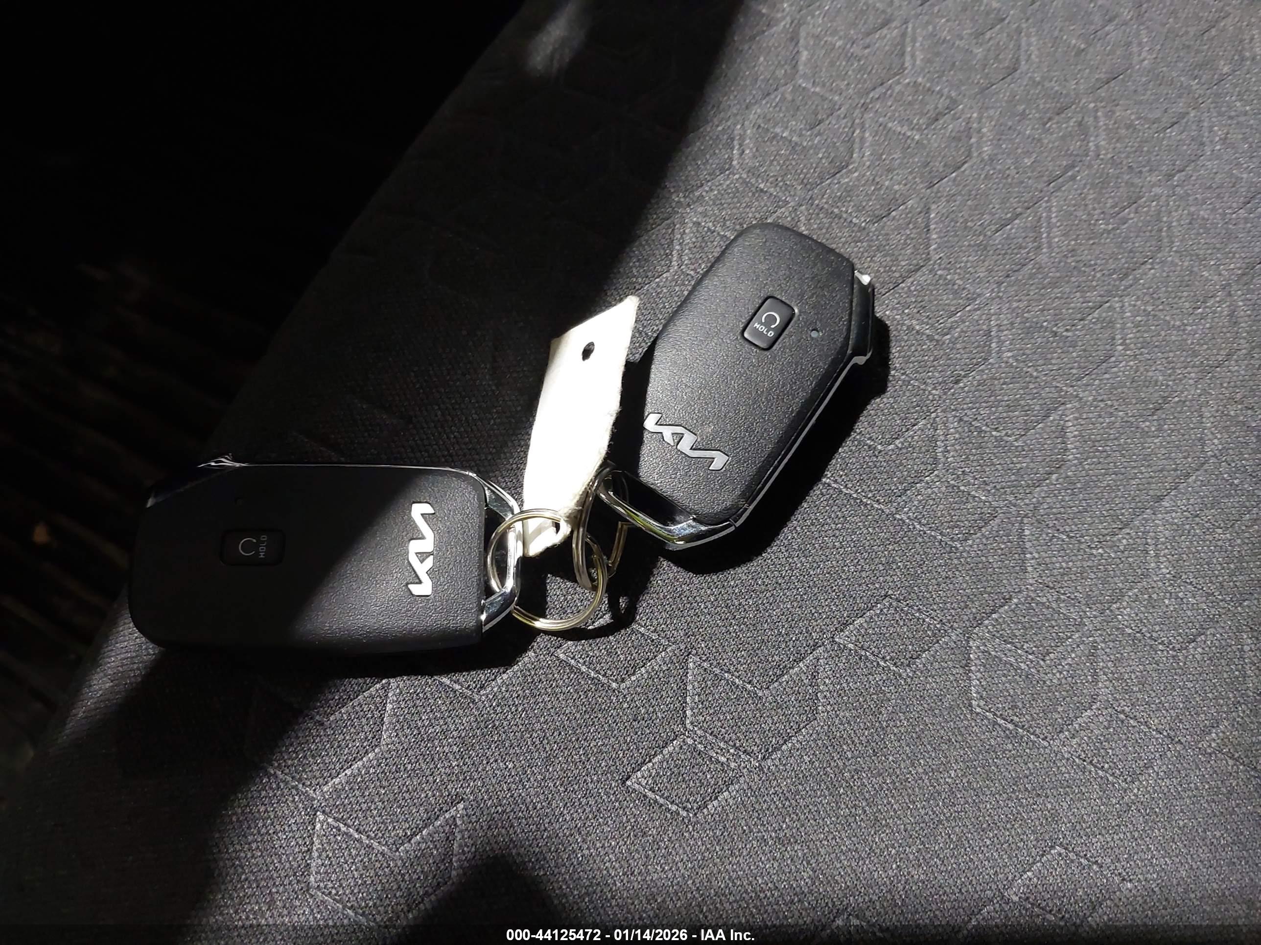 KIA SELTOS image 11