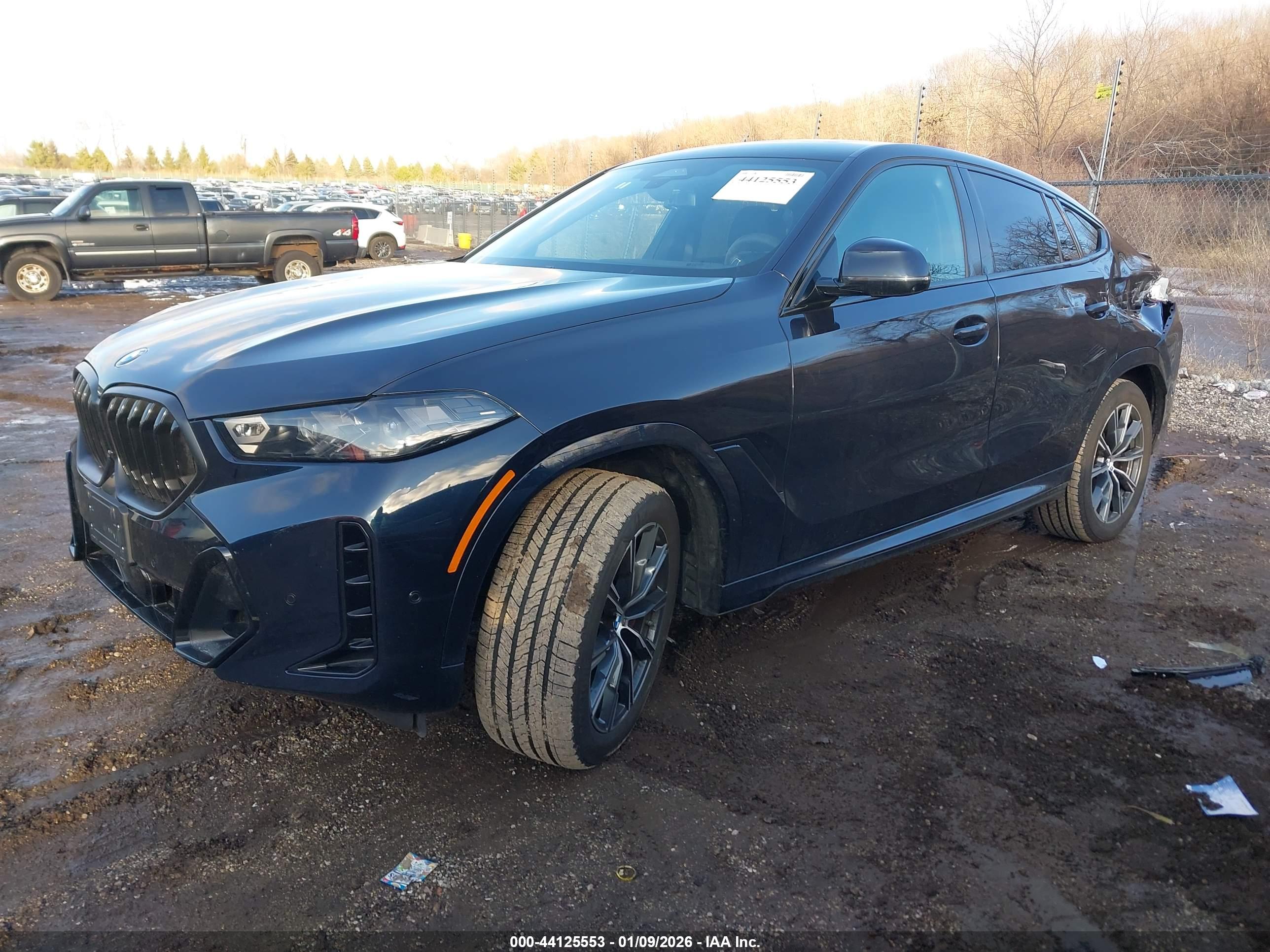 BMW X6 image 2