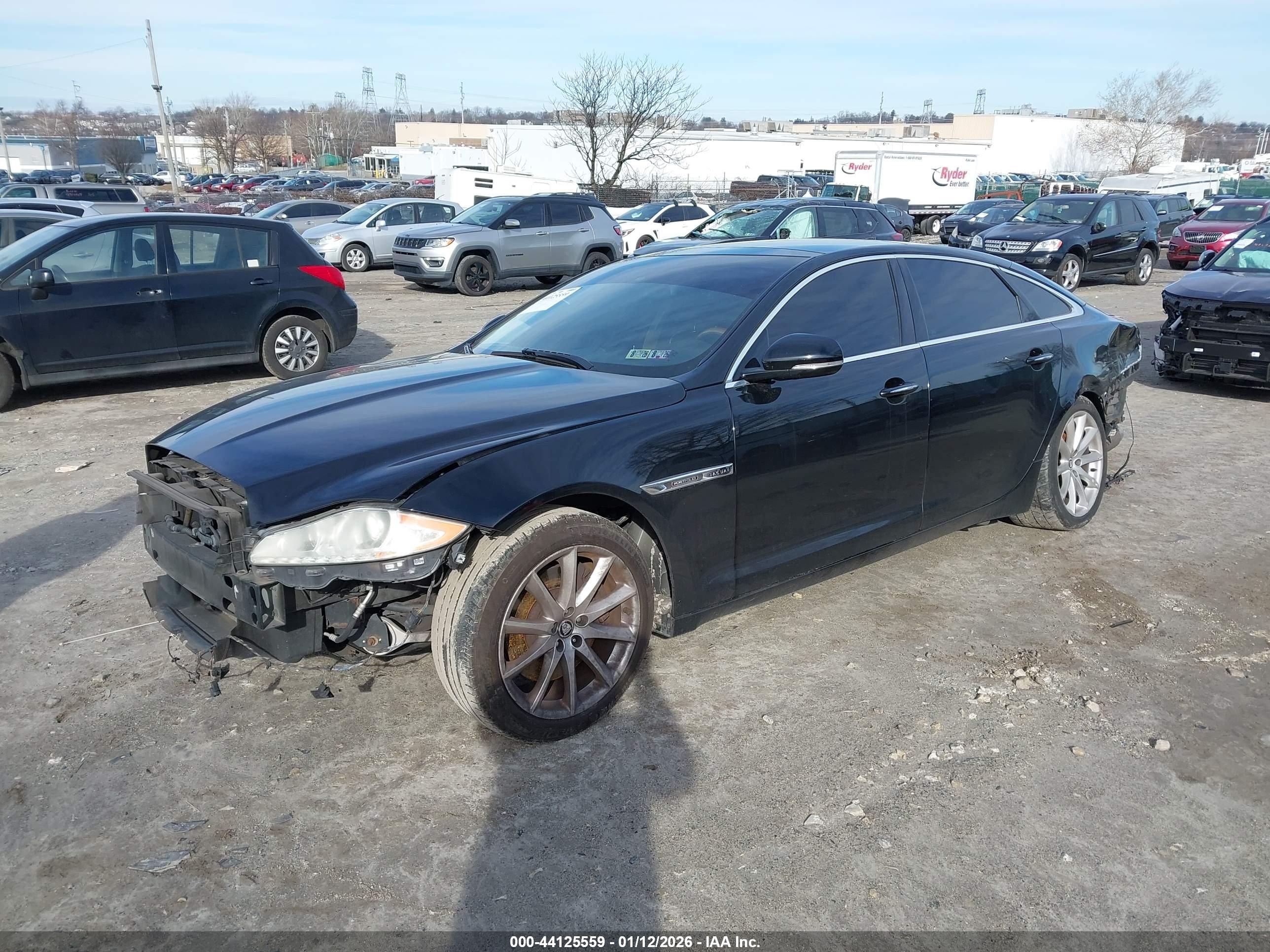 JAGUAR XJ image 2