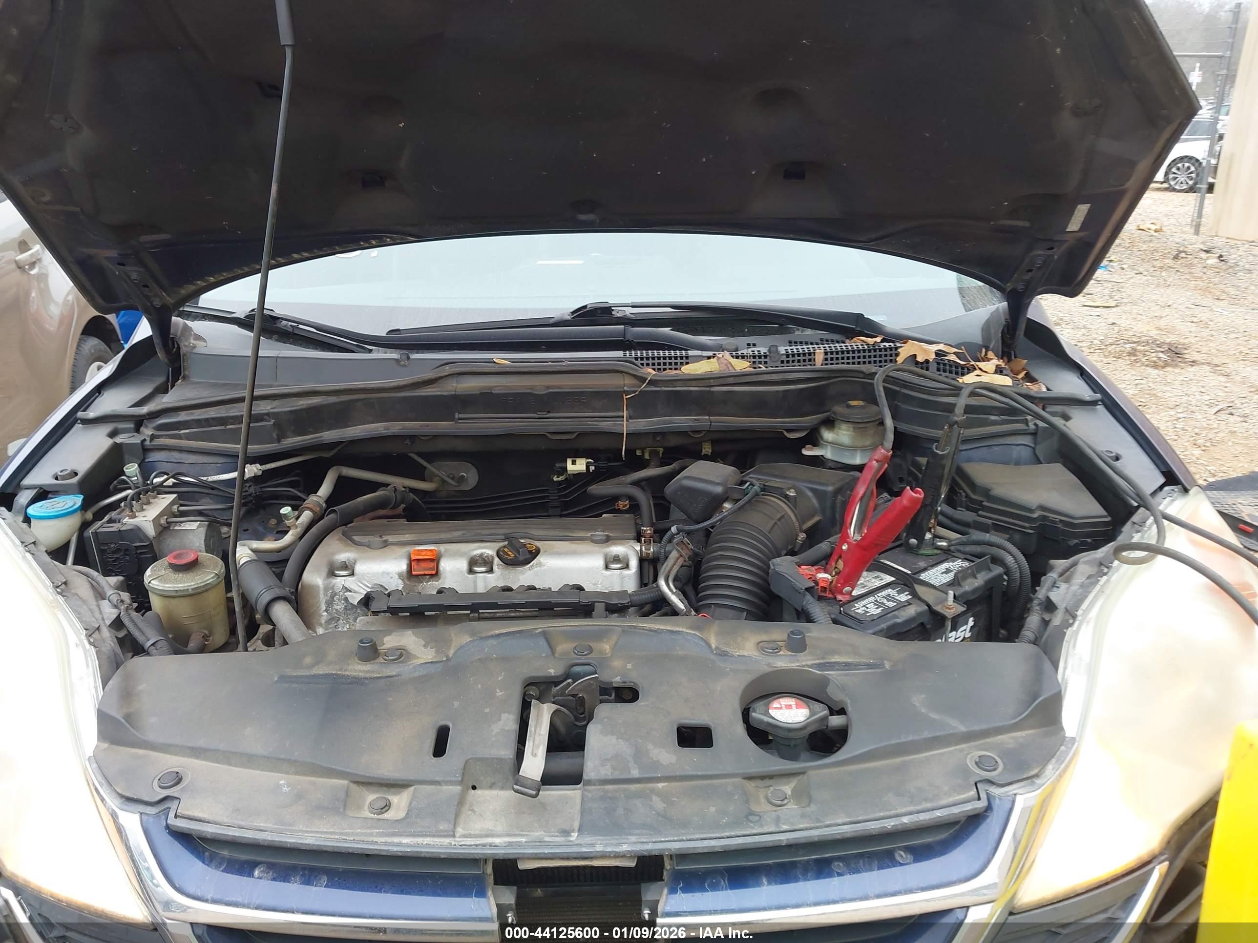 HONDA CR-V image 10