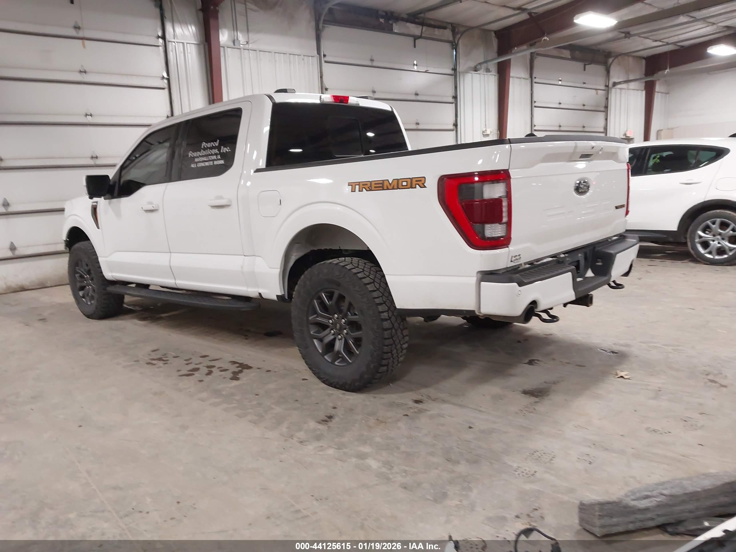 FORD F-150 image 3