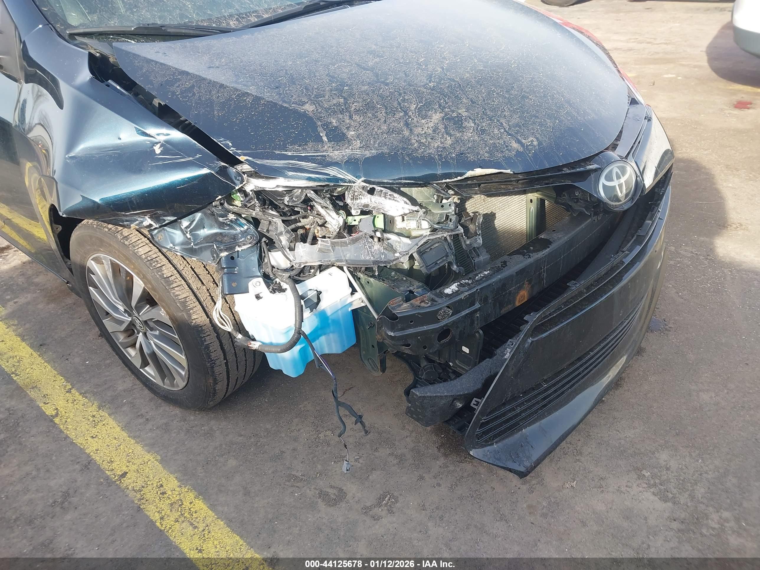 TOYOTA COROLLA image 6