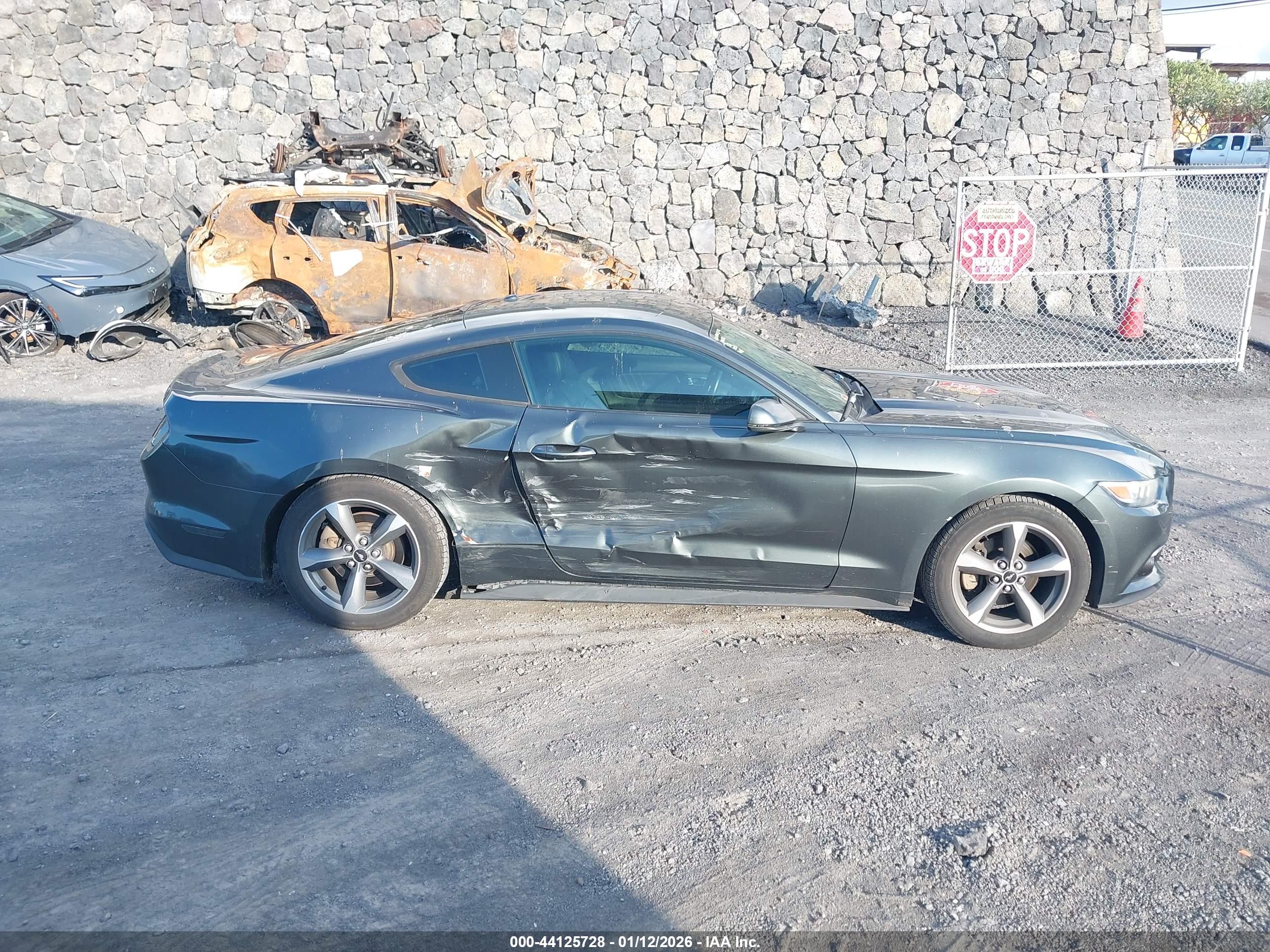 FORD MUSTANG image 6