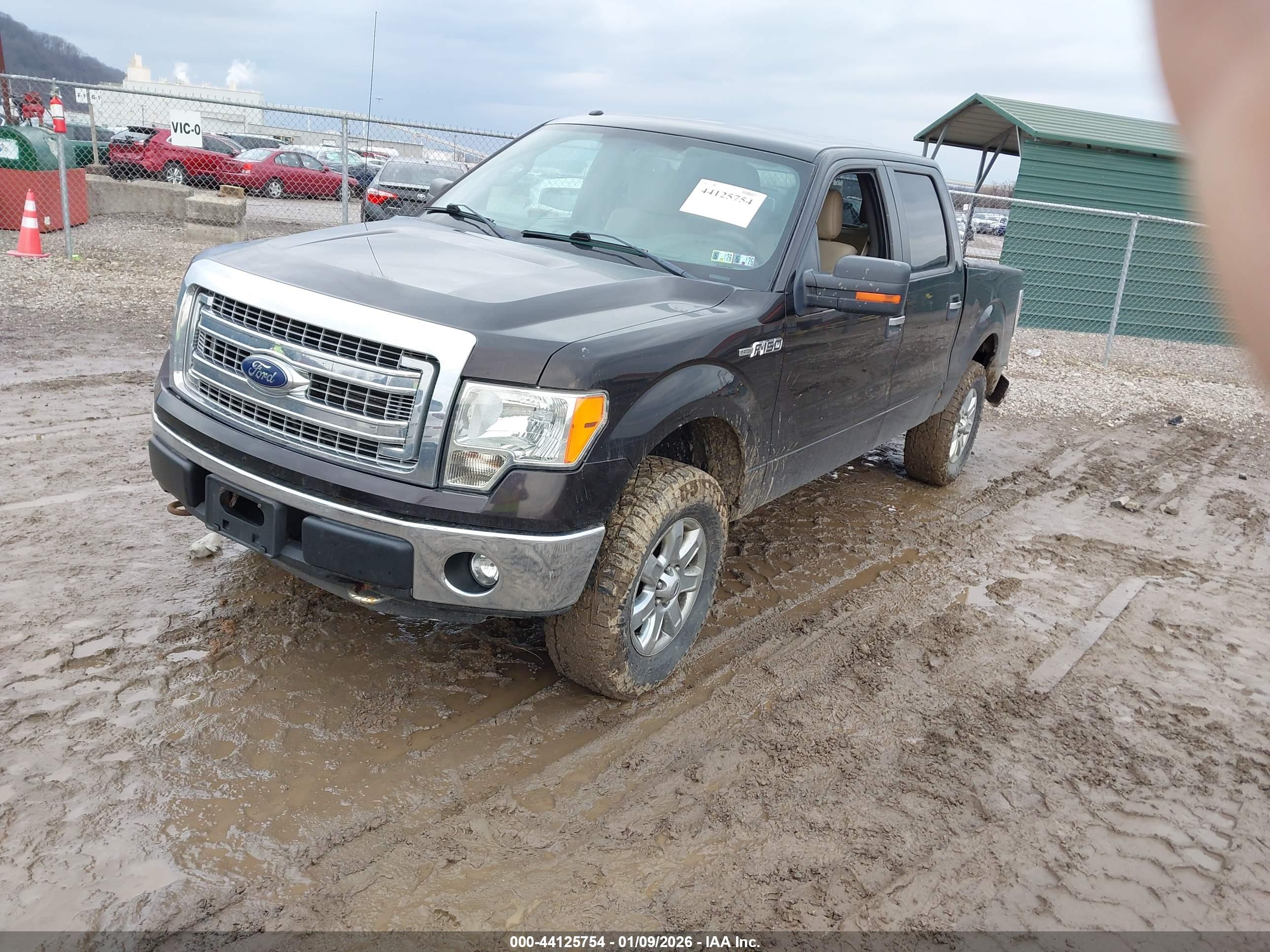 FORD F-150 image 2