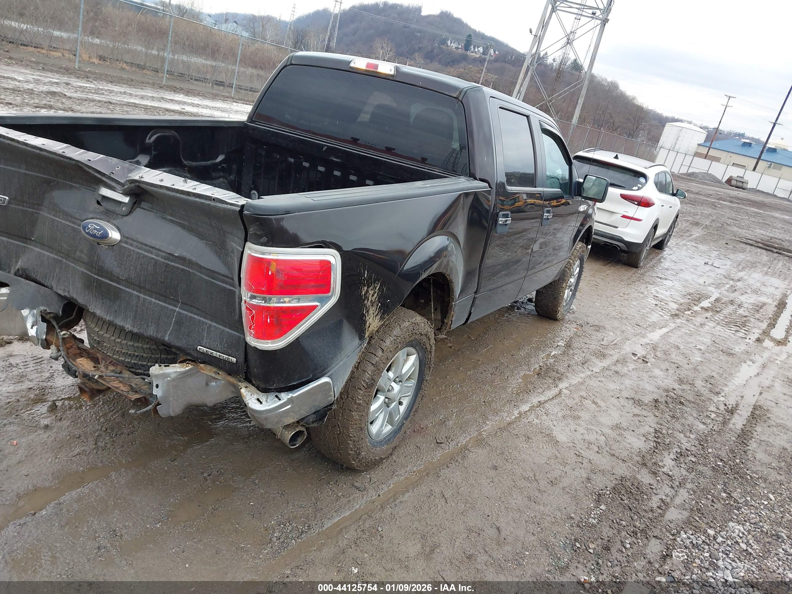 FORD F-150 image 4