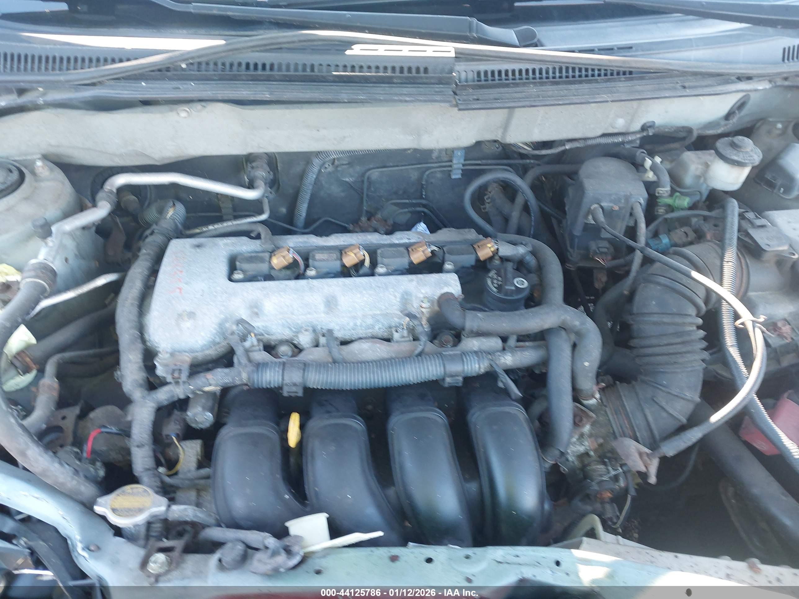 TOYOTA COROLLA image 10