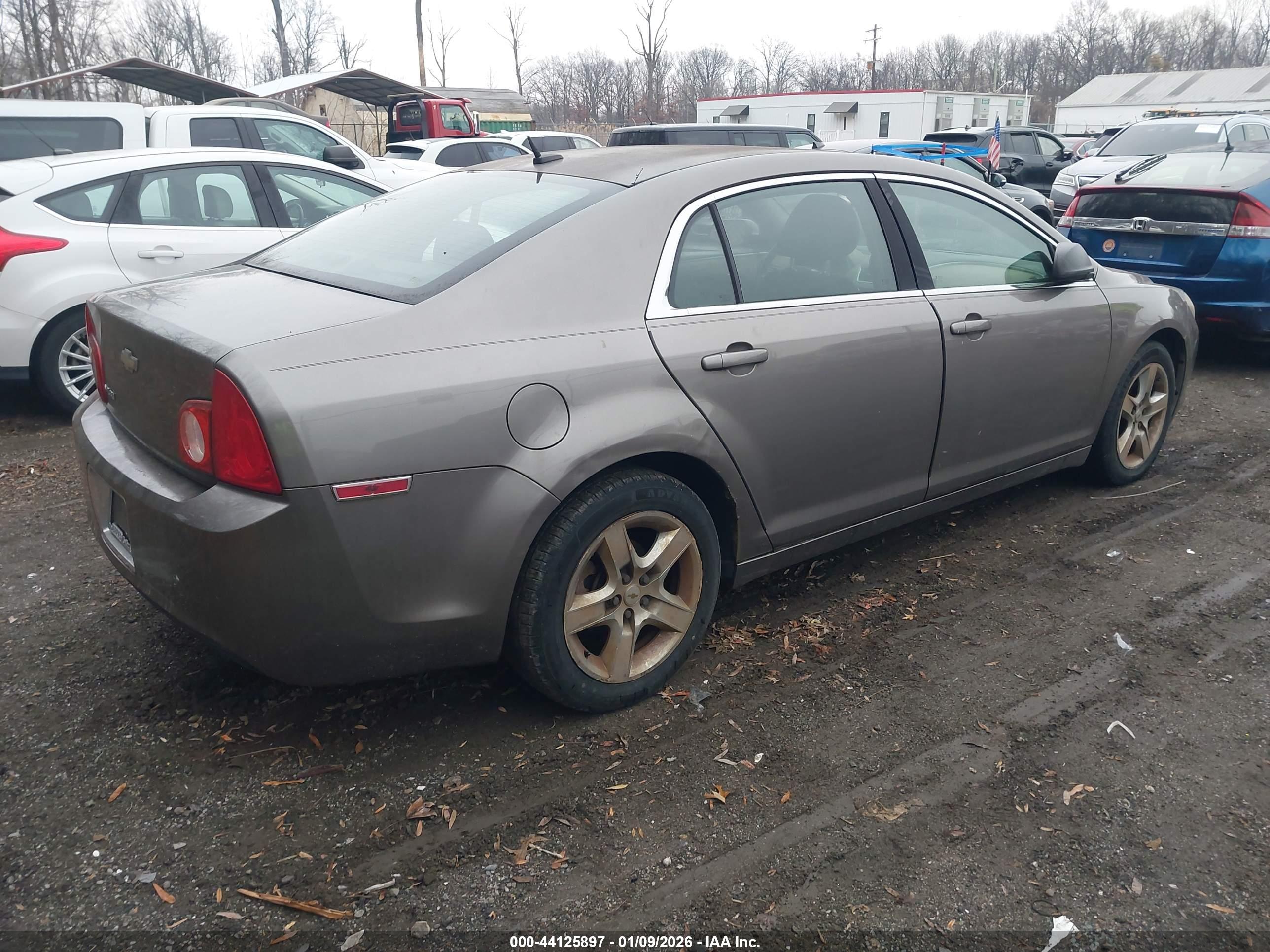 CHEVROLET MALIBU image 4