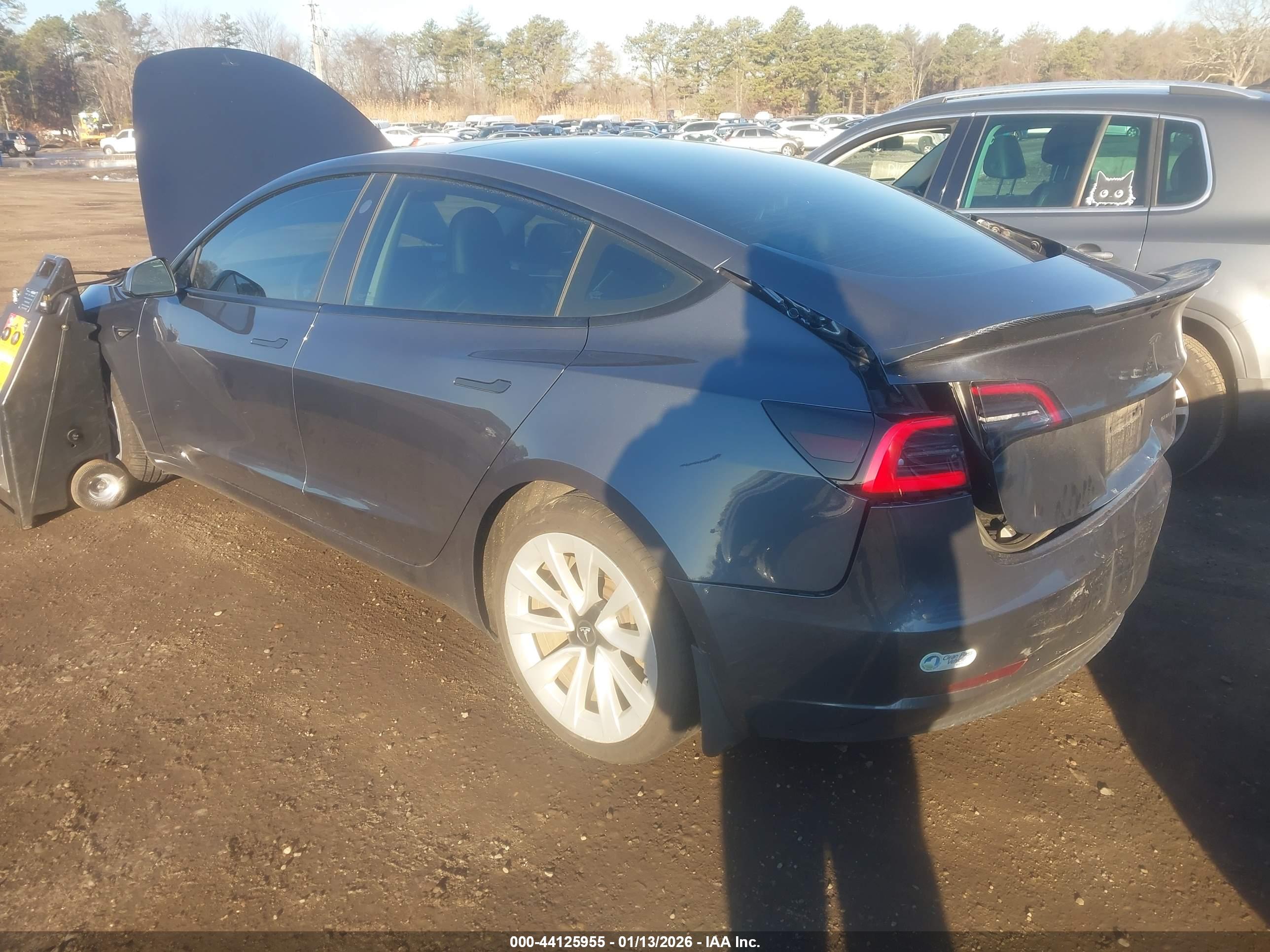 TESLA MODEL image 3