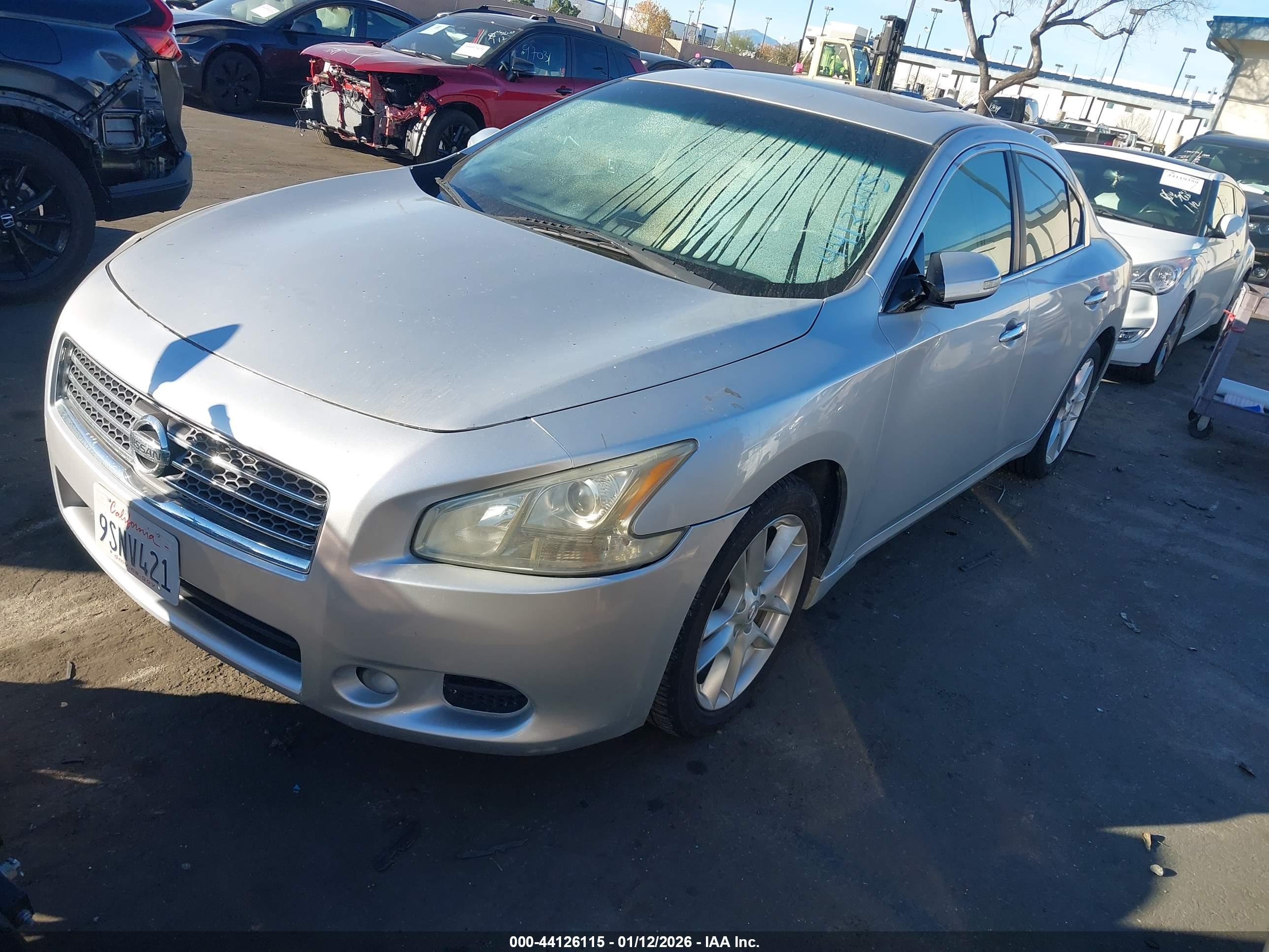 NISSAN MAXIMA image 2