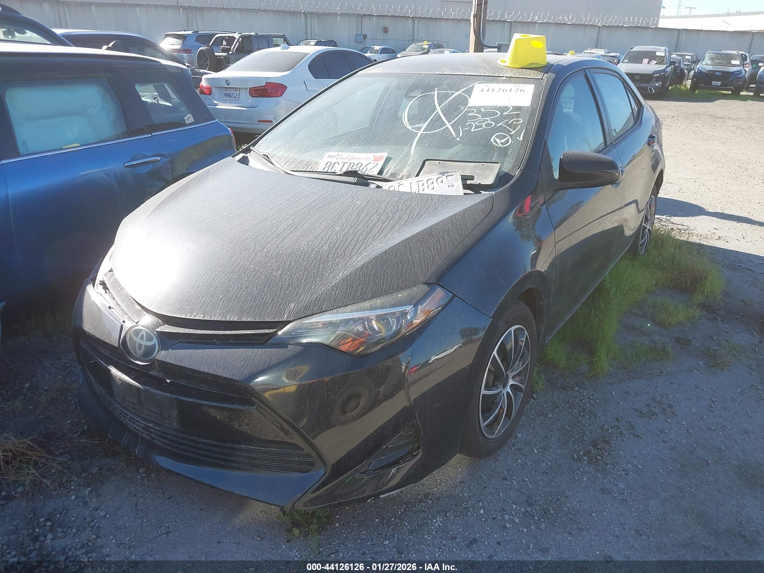 TOYOTA COROLLA image 2