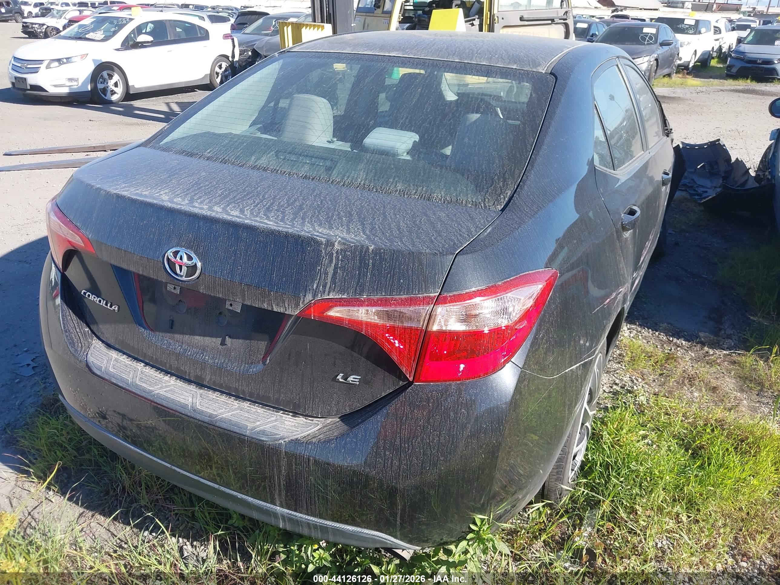 TOYOTA COROLLA image 4