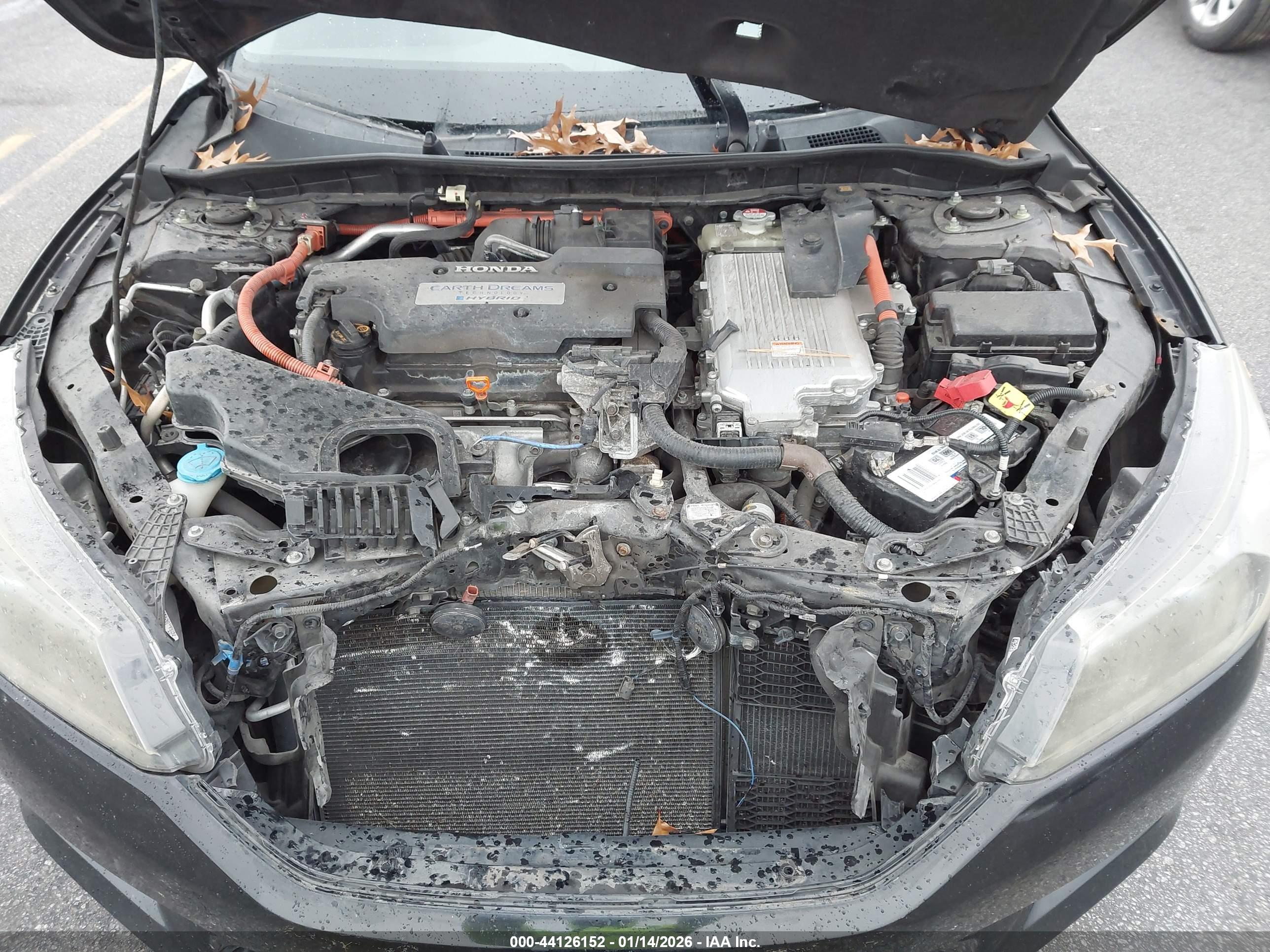 HONDA ACCORD image 10