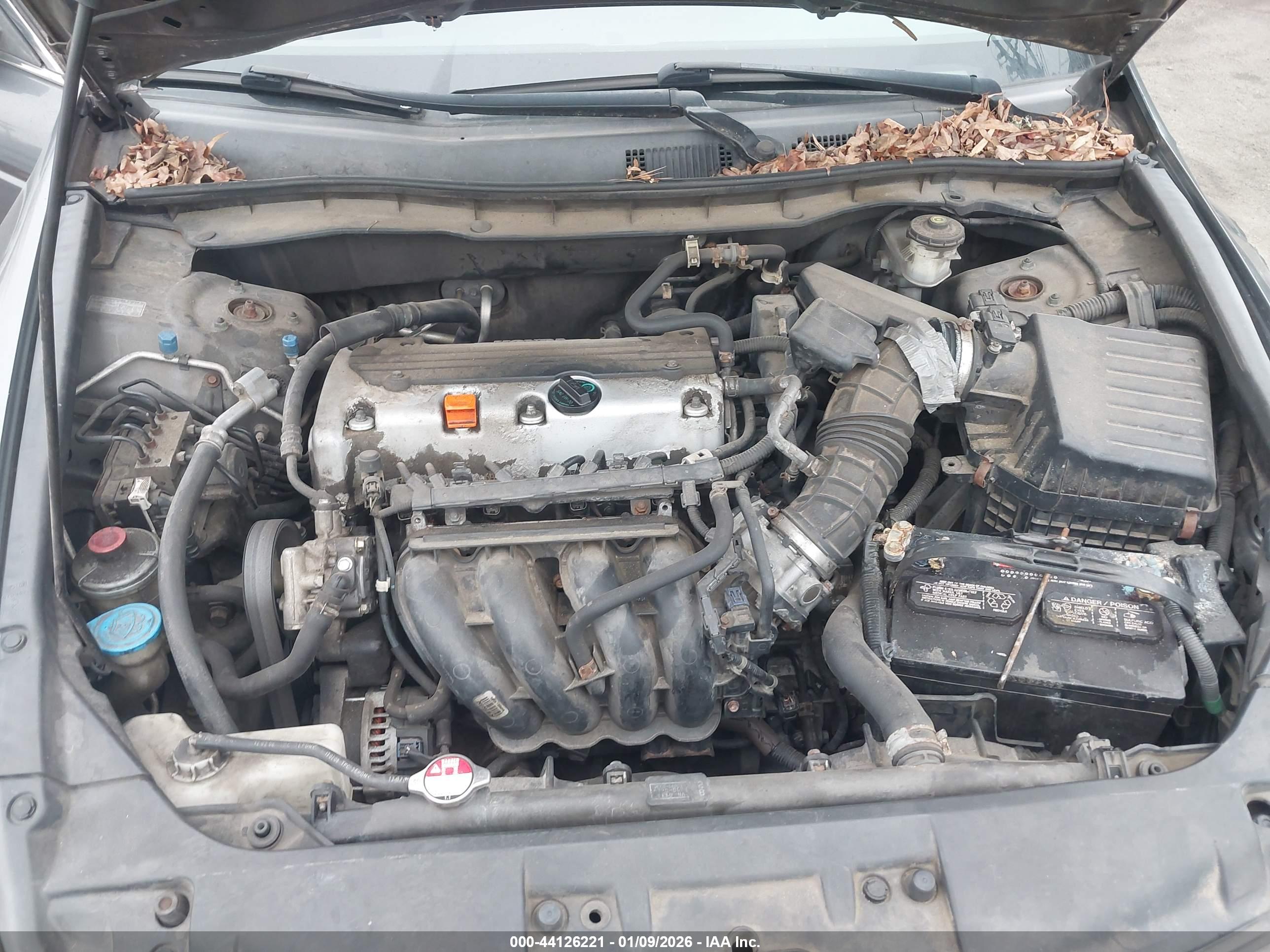 HONDA ACCORD image 10