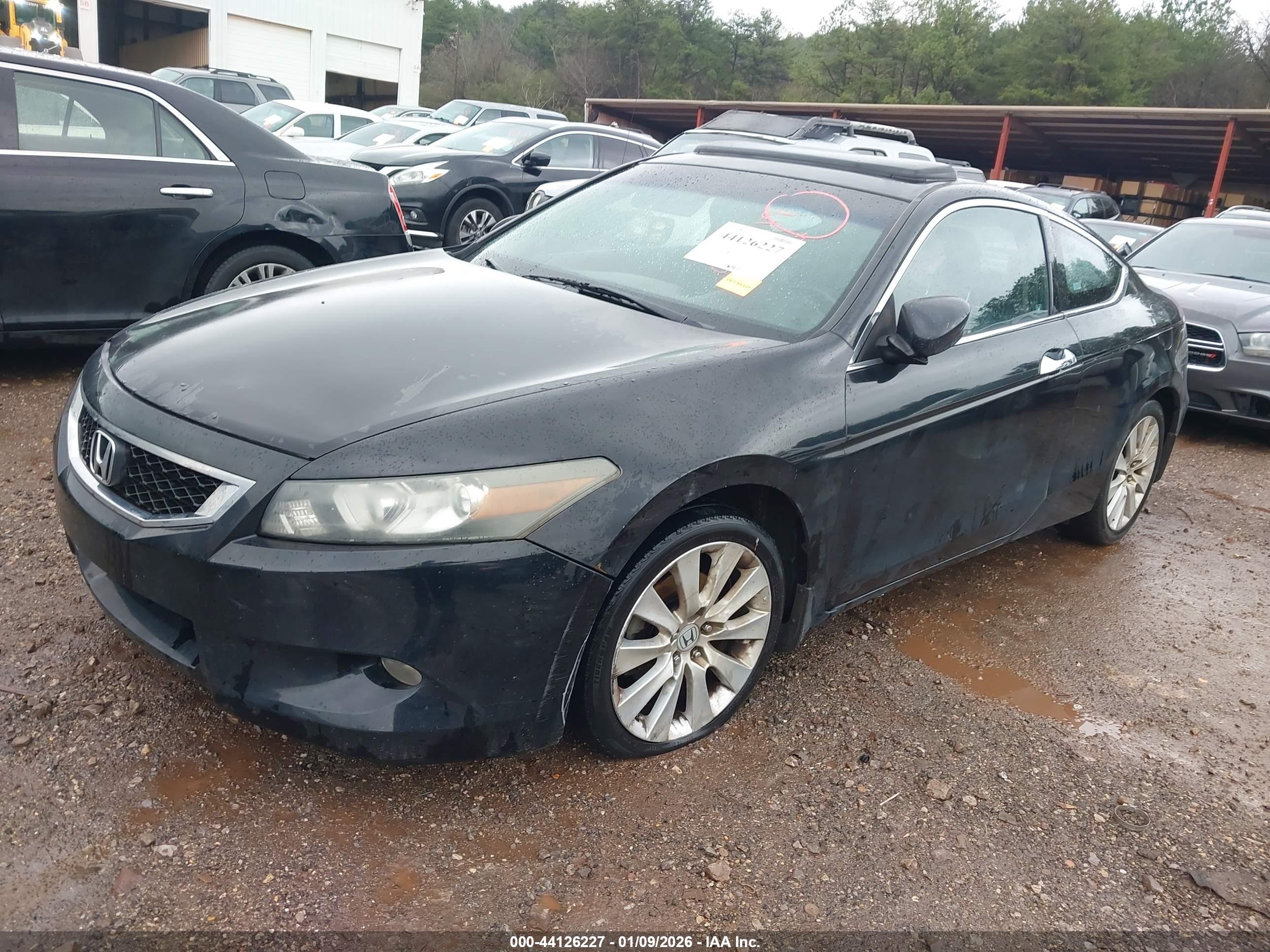 HONDA ACCORD image 2