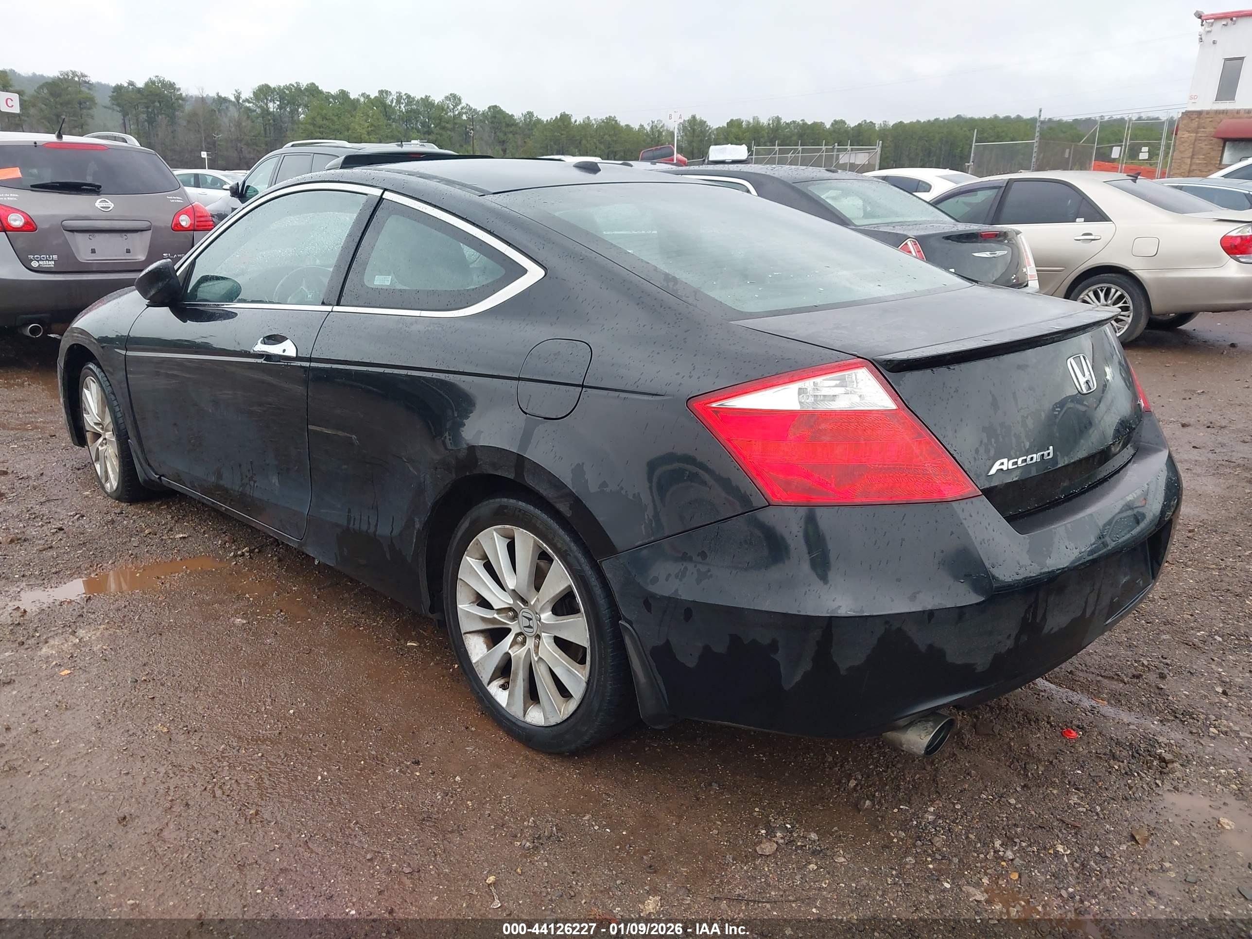 HONDA ACCORD image 3