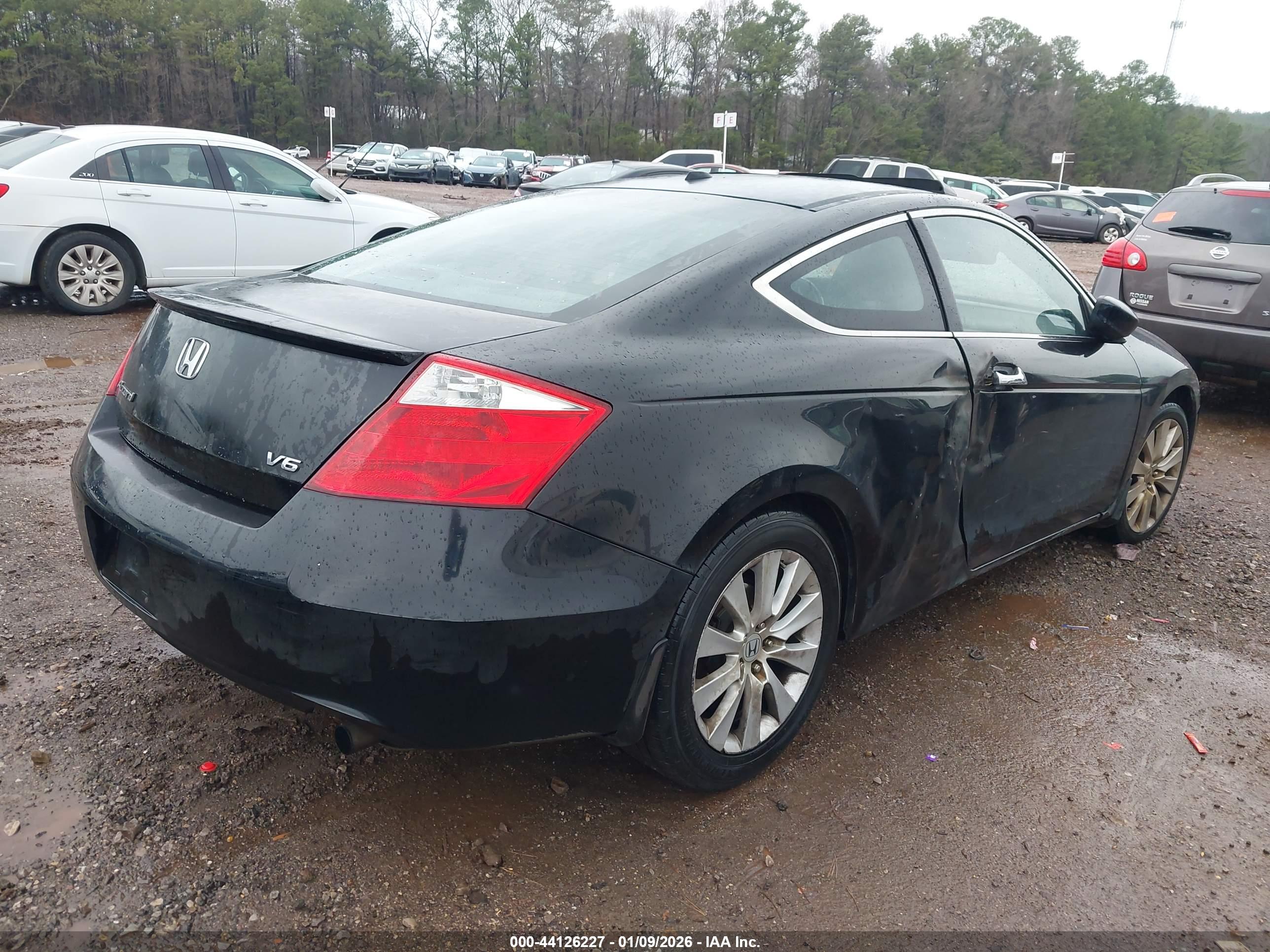 HONDA ACCORD image 4