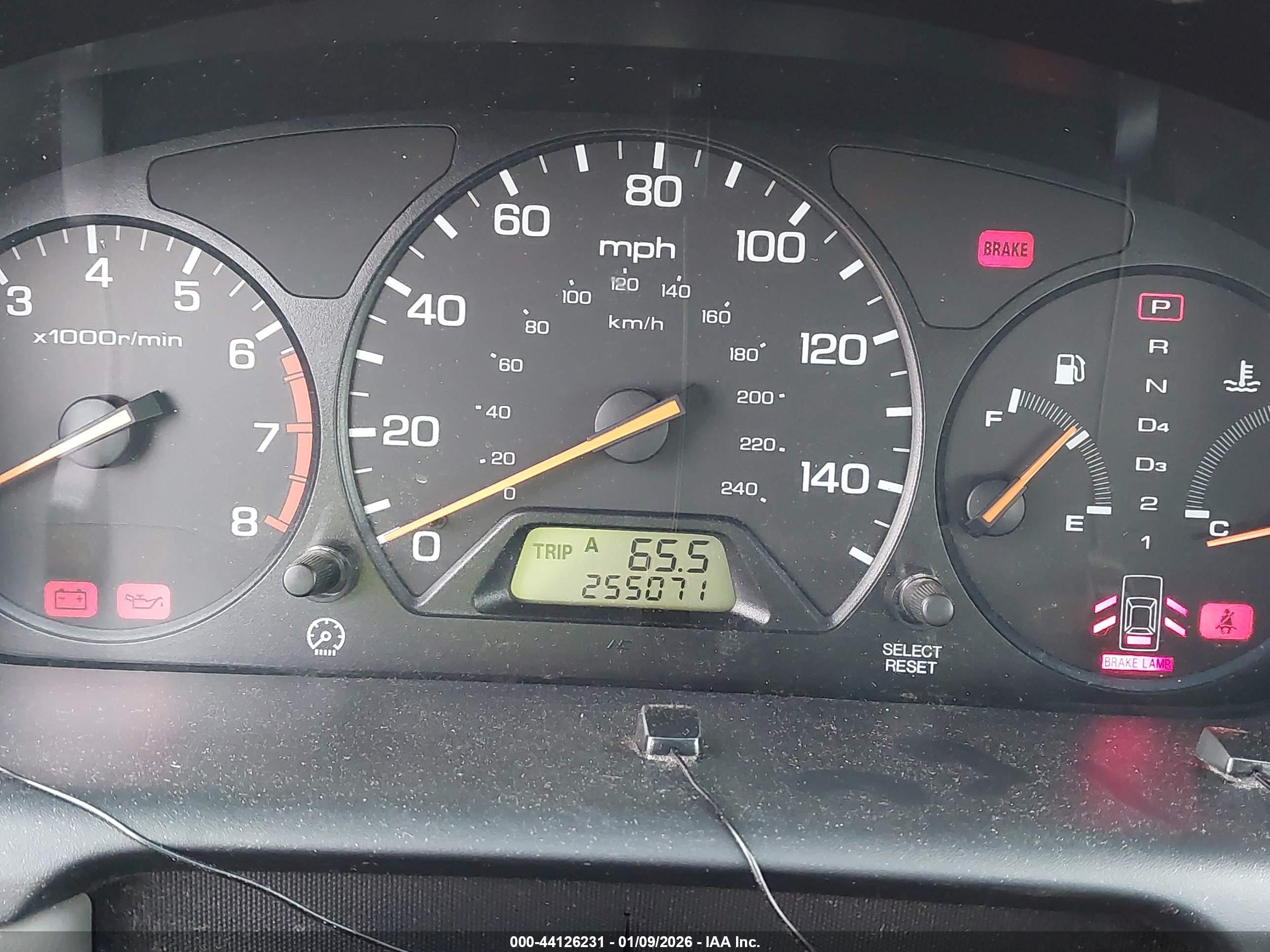 HONDA ACCORD image 7