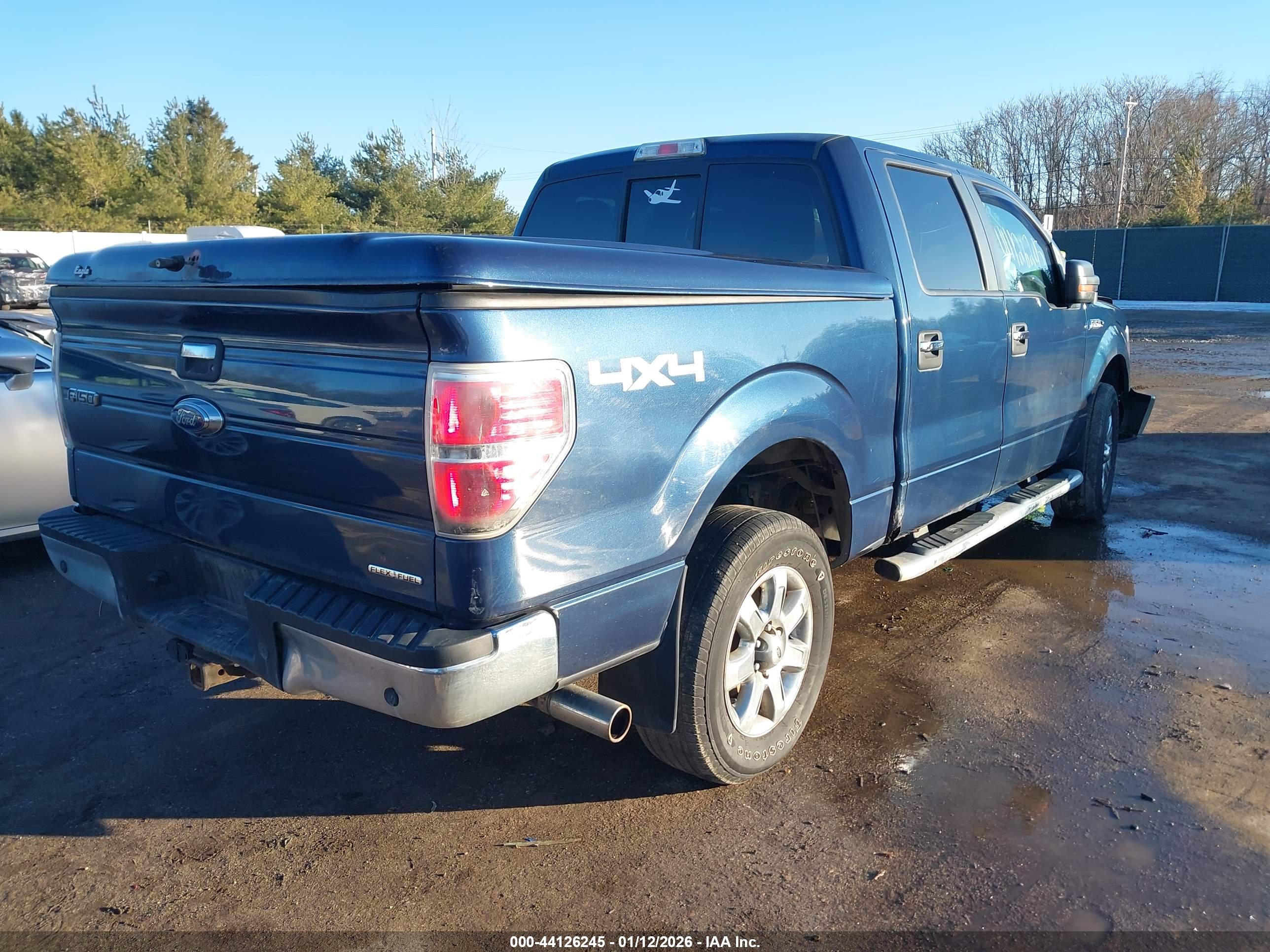 FORD F-150 image 4