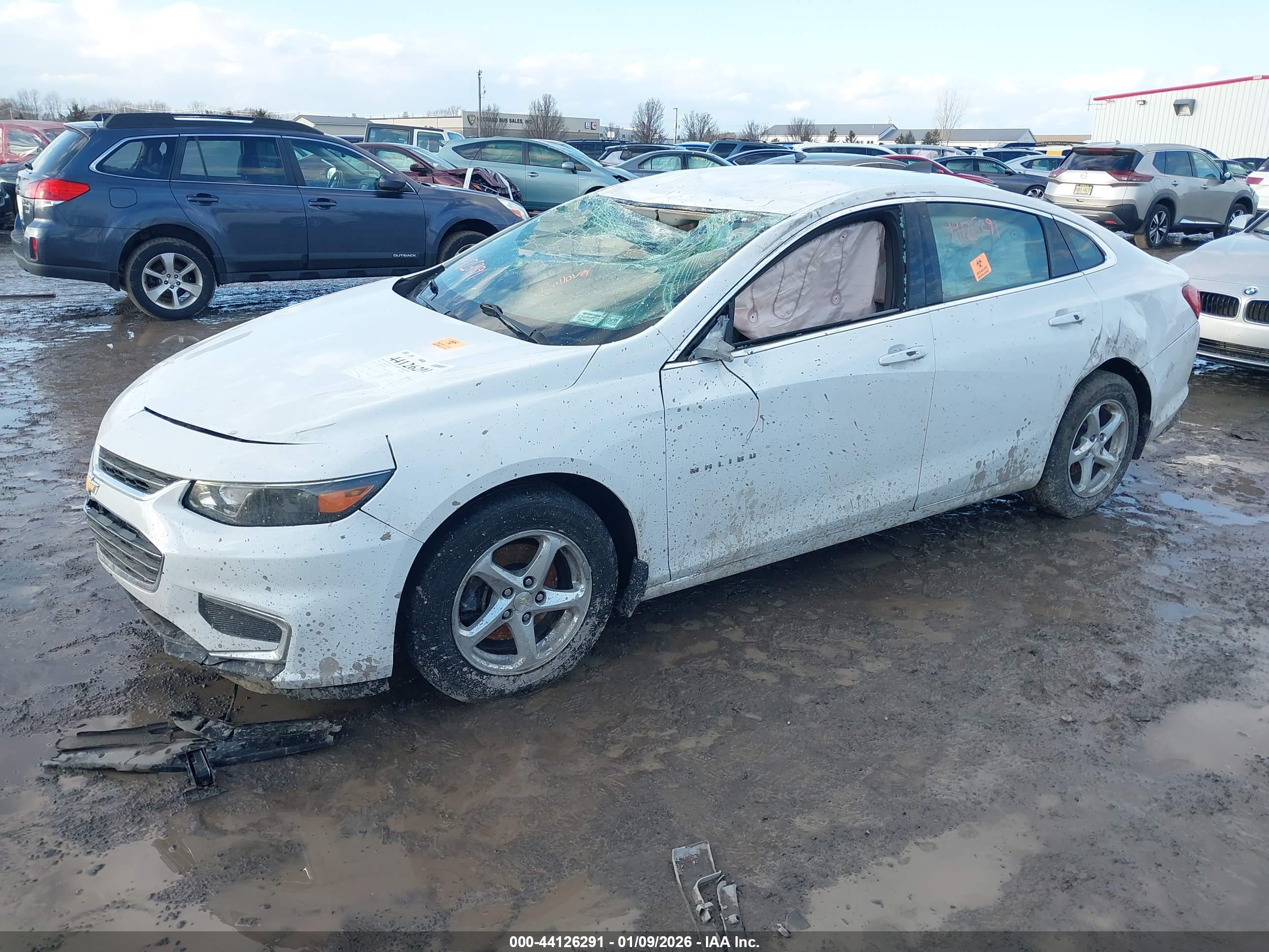 CHEVROLET MALIBU image 2