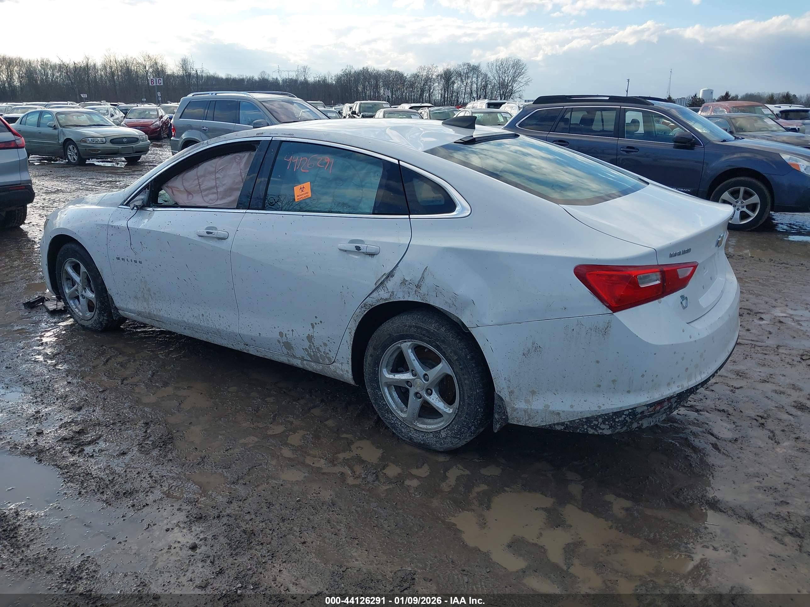 CHEVROLET MALIBU image 3
