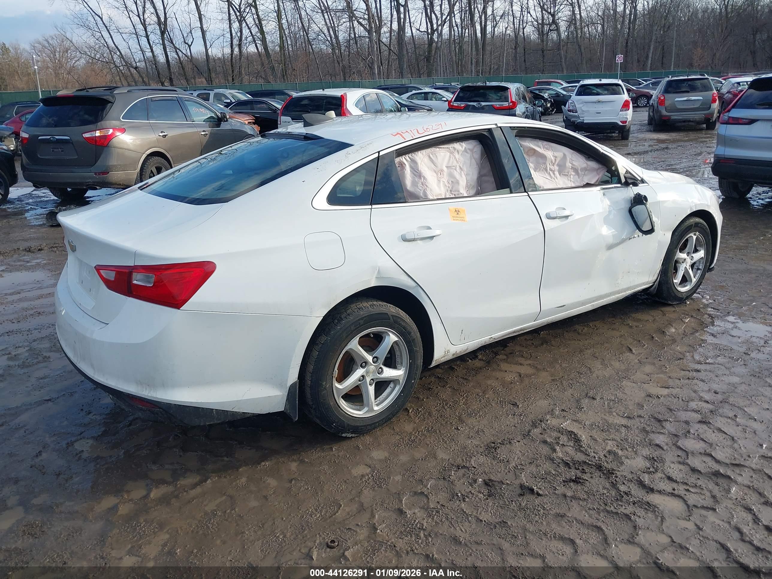 CHEVROLET MALIBU image 4