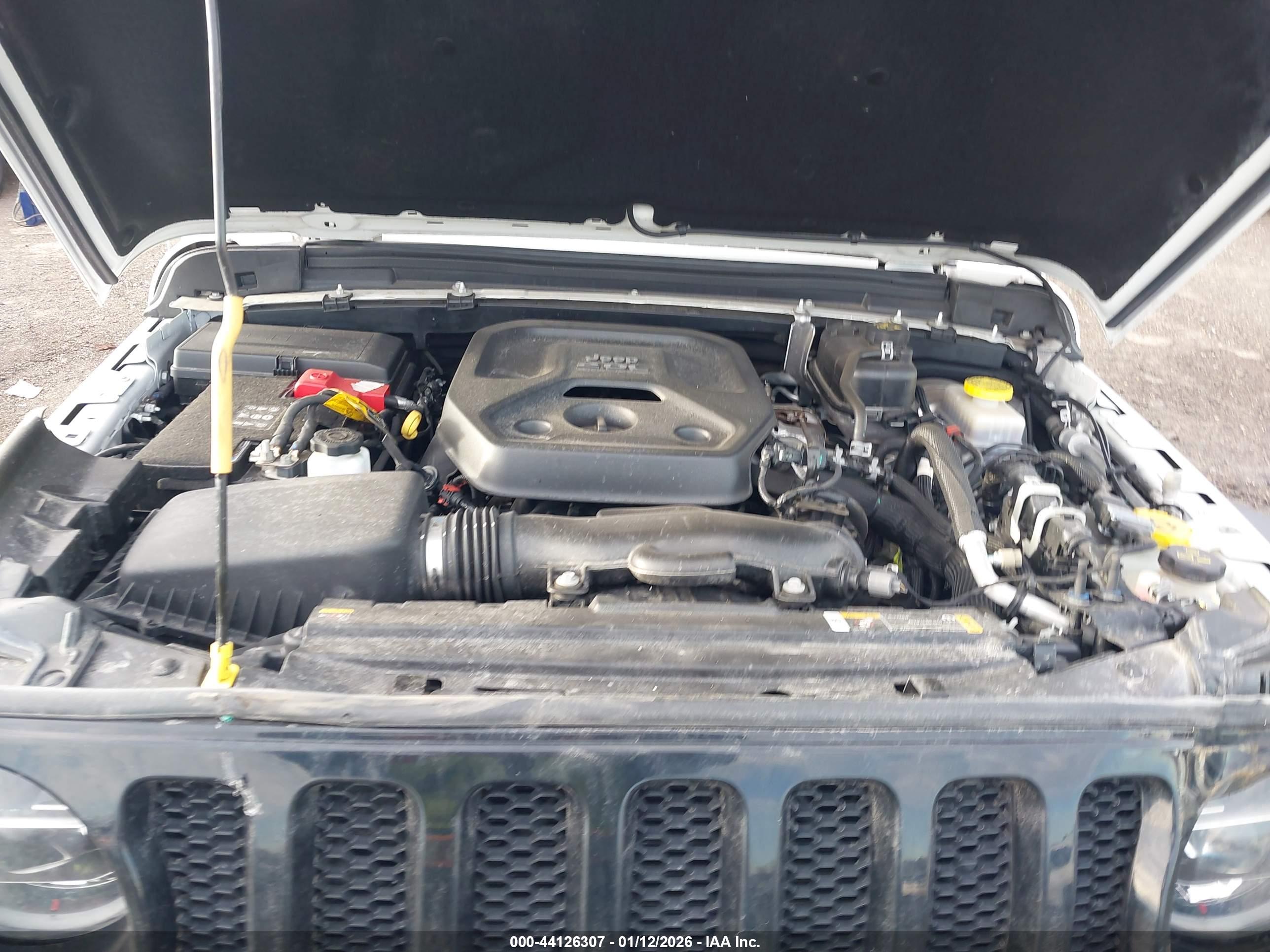 JEEP WRANGLER image 10