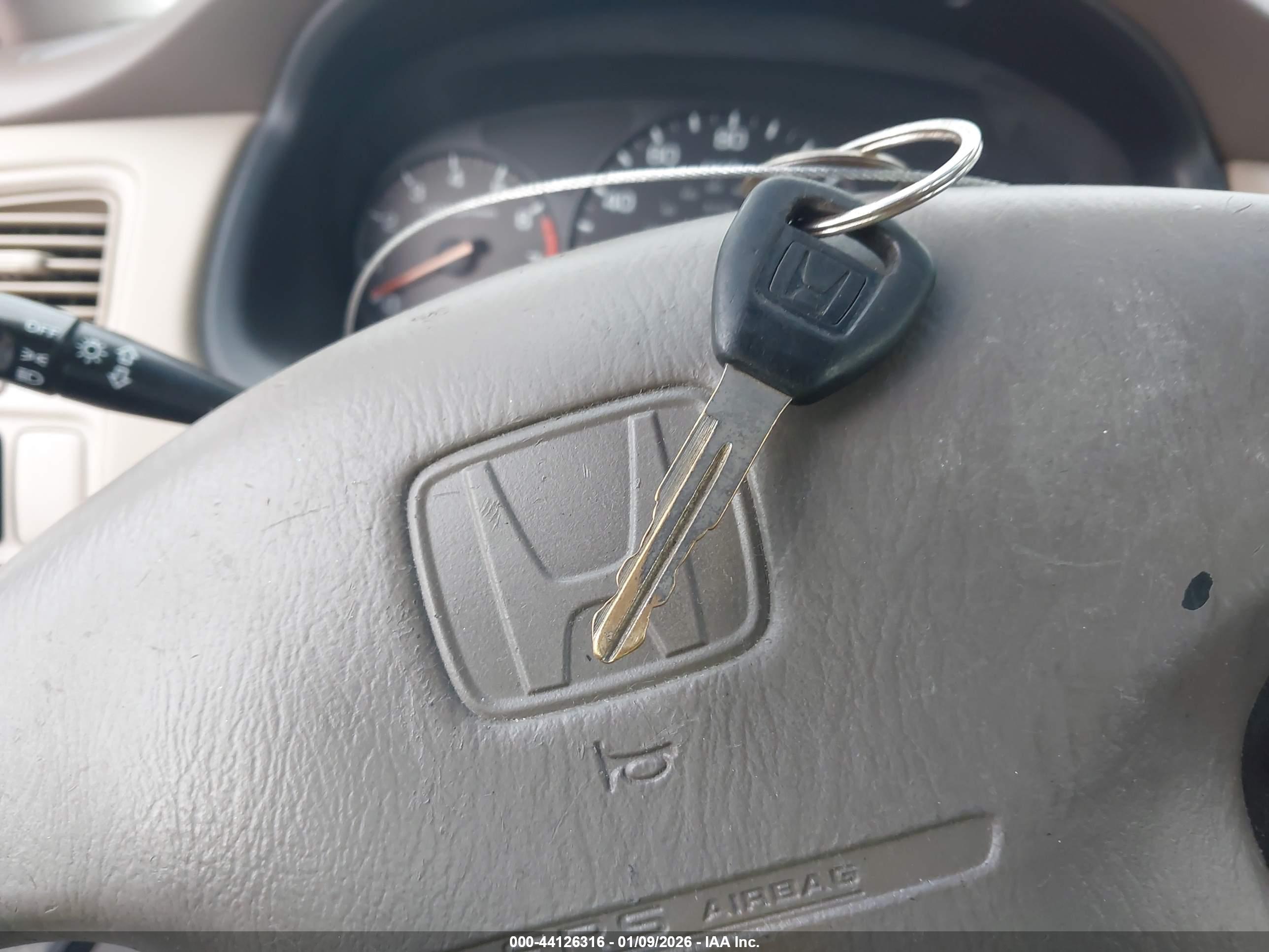 HONDA ACCORD image 11