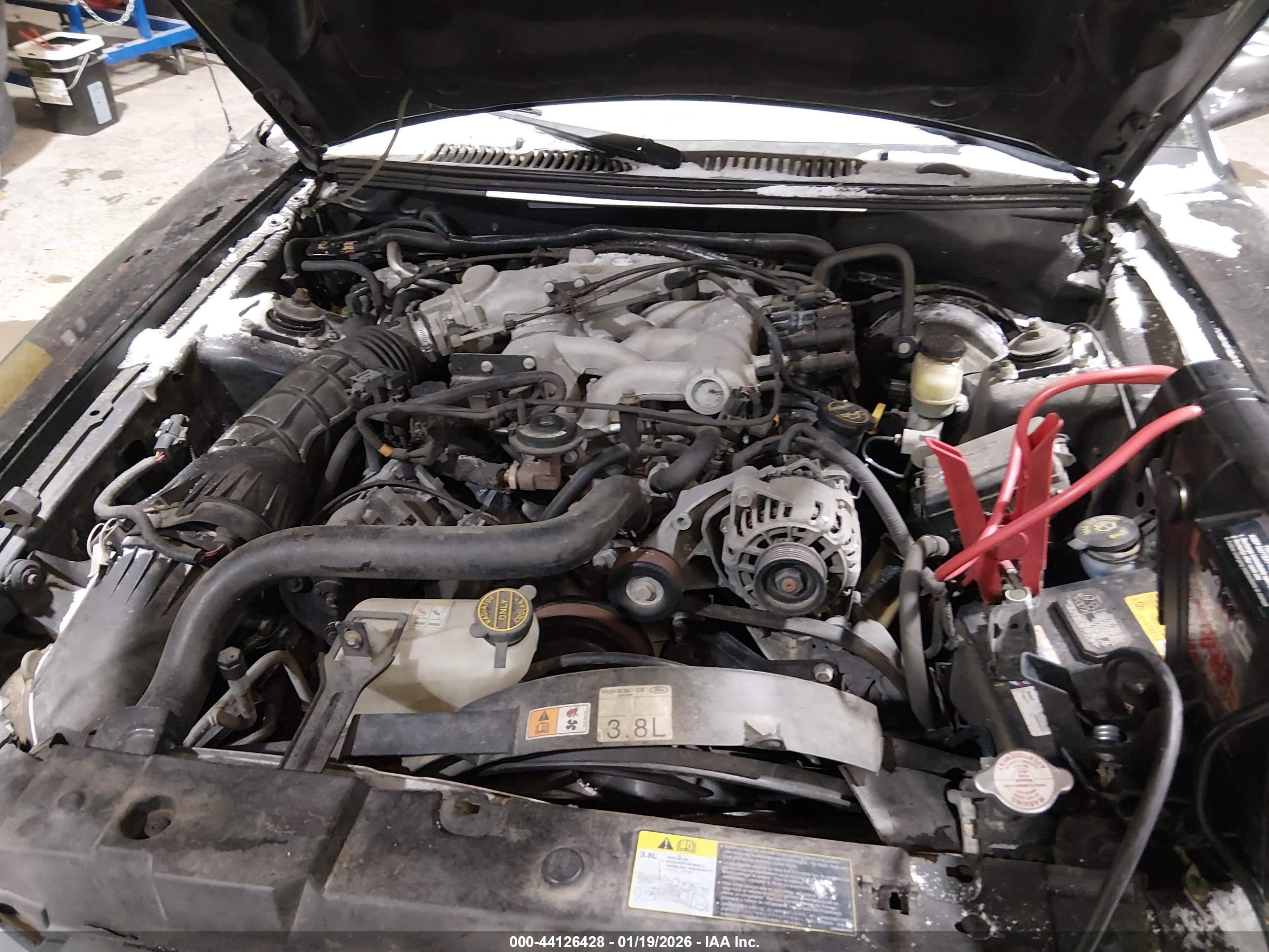 FORD MUSTANG image 10