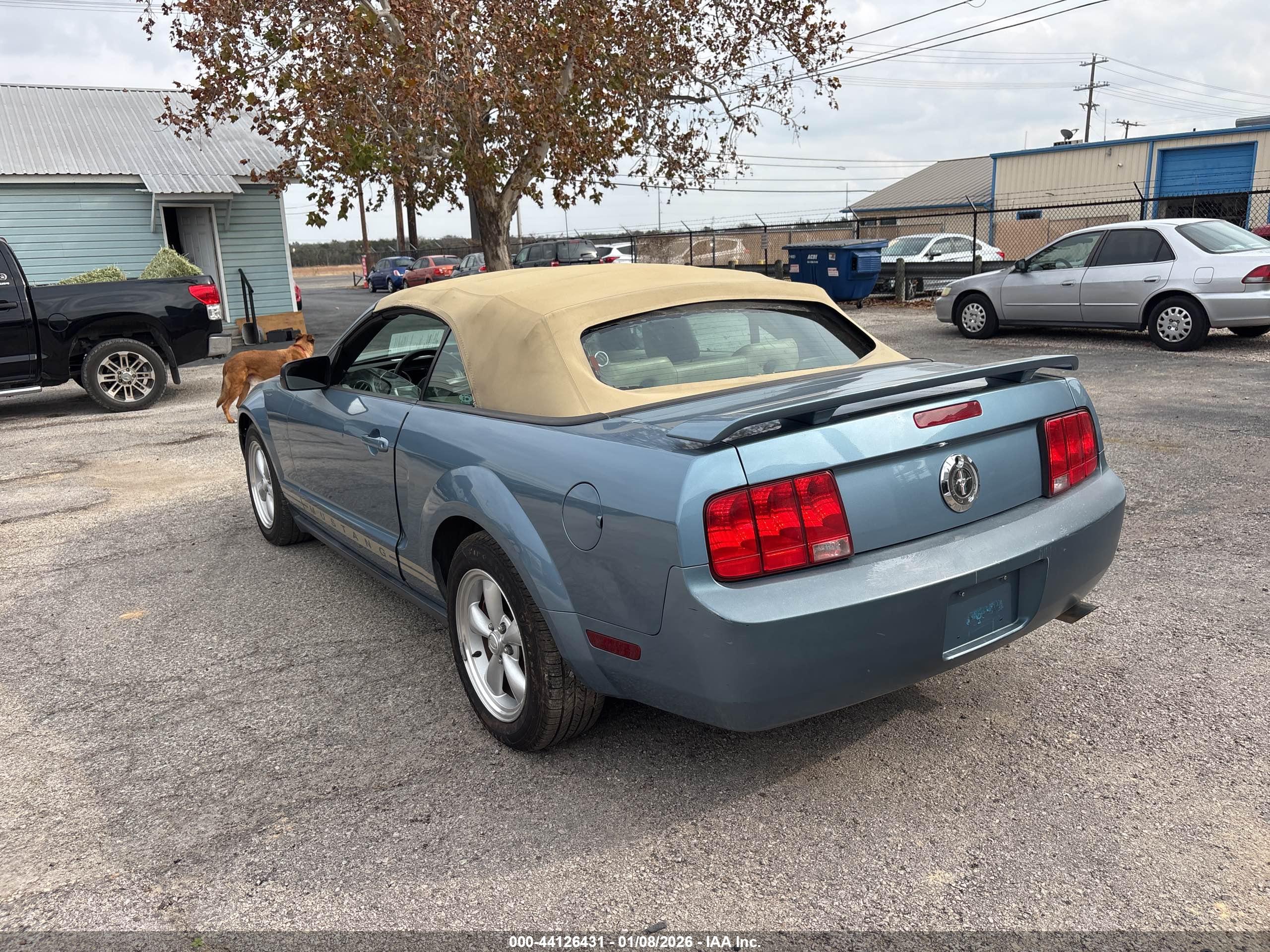 FORD MUSTANG image 3