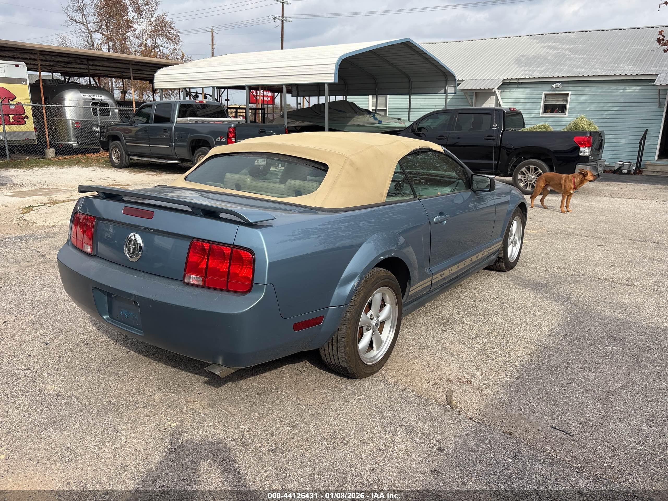 FORD MUSTANG image 4