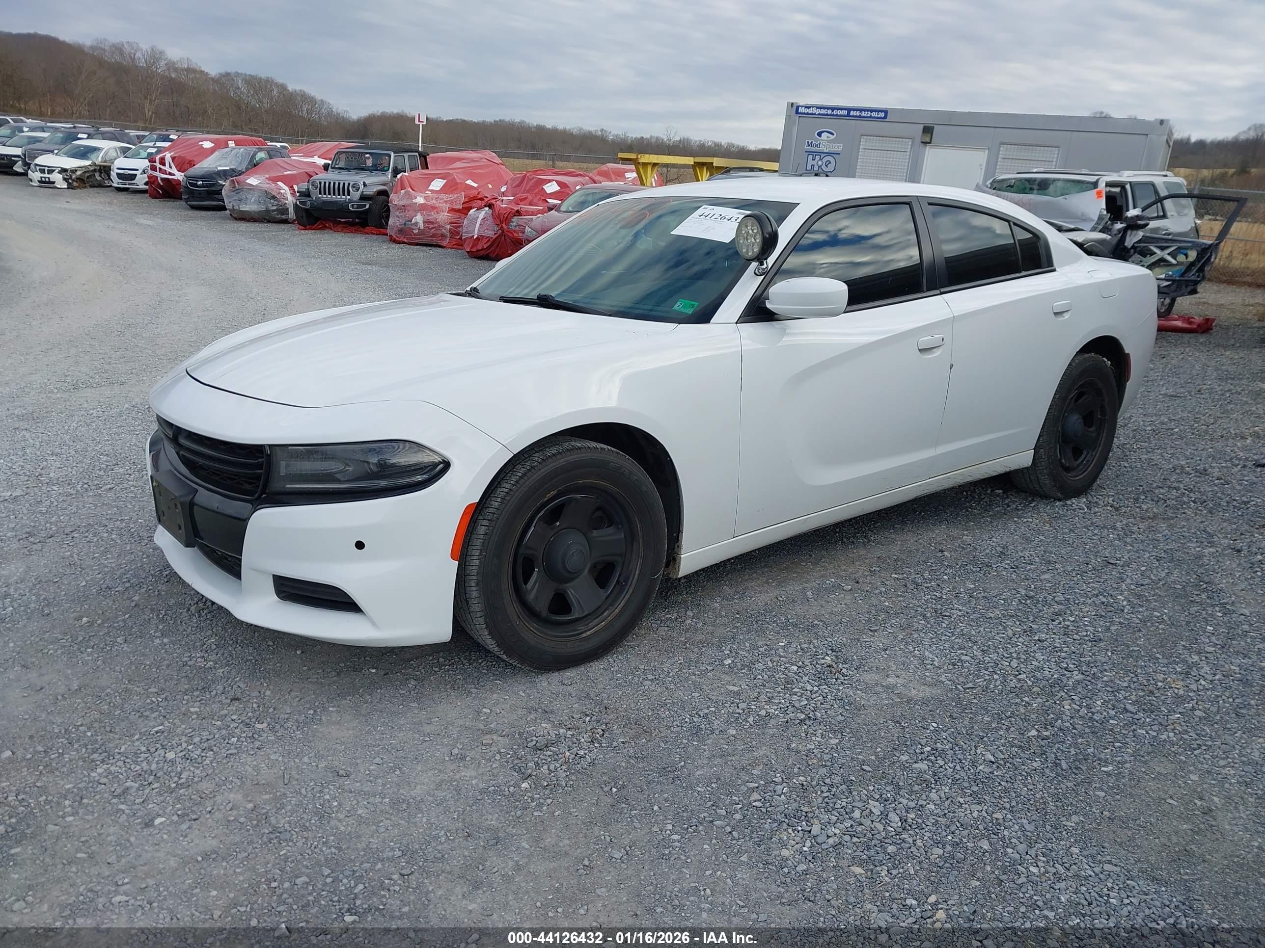 DODGE CHARGER image 2