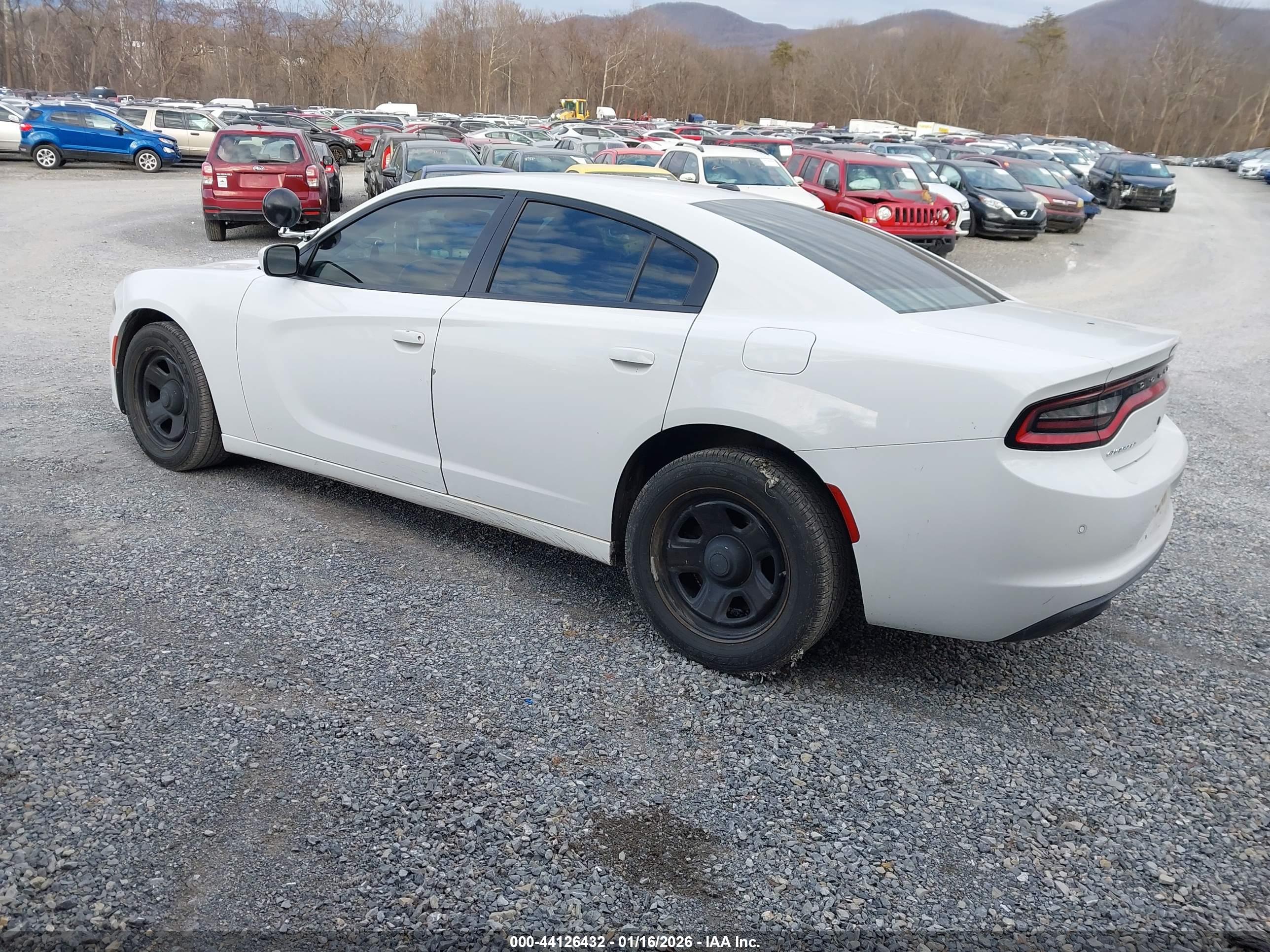 DODGE CHARGER image 3
